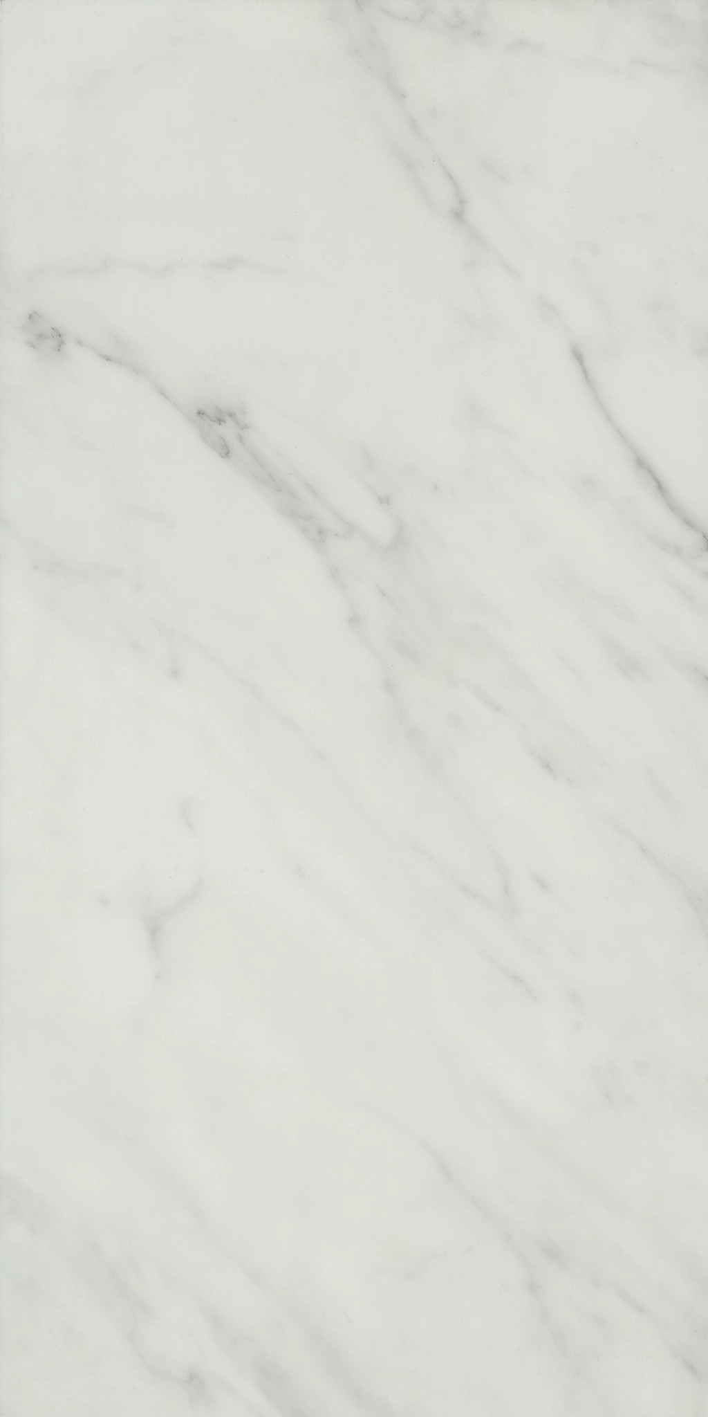 Carrara White swatch