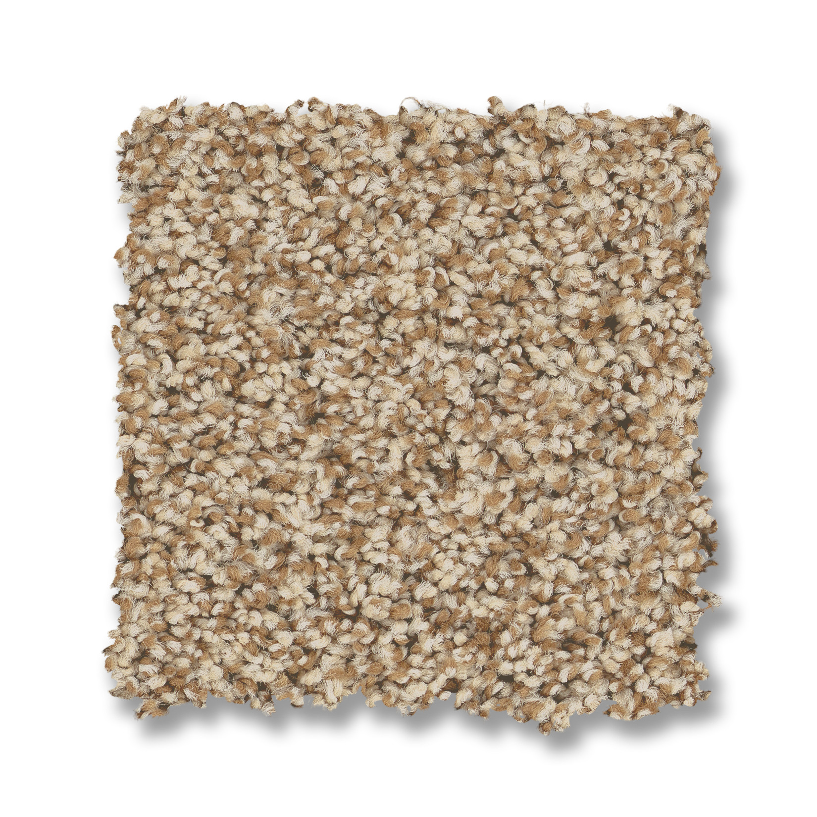 TERRA NOVA POTTER'S CLAY SWATCH