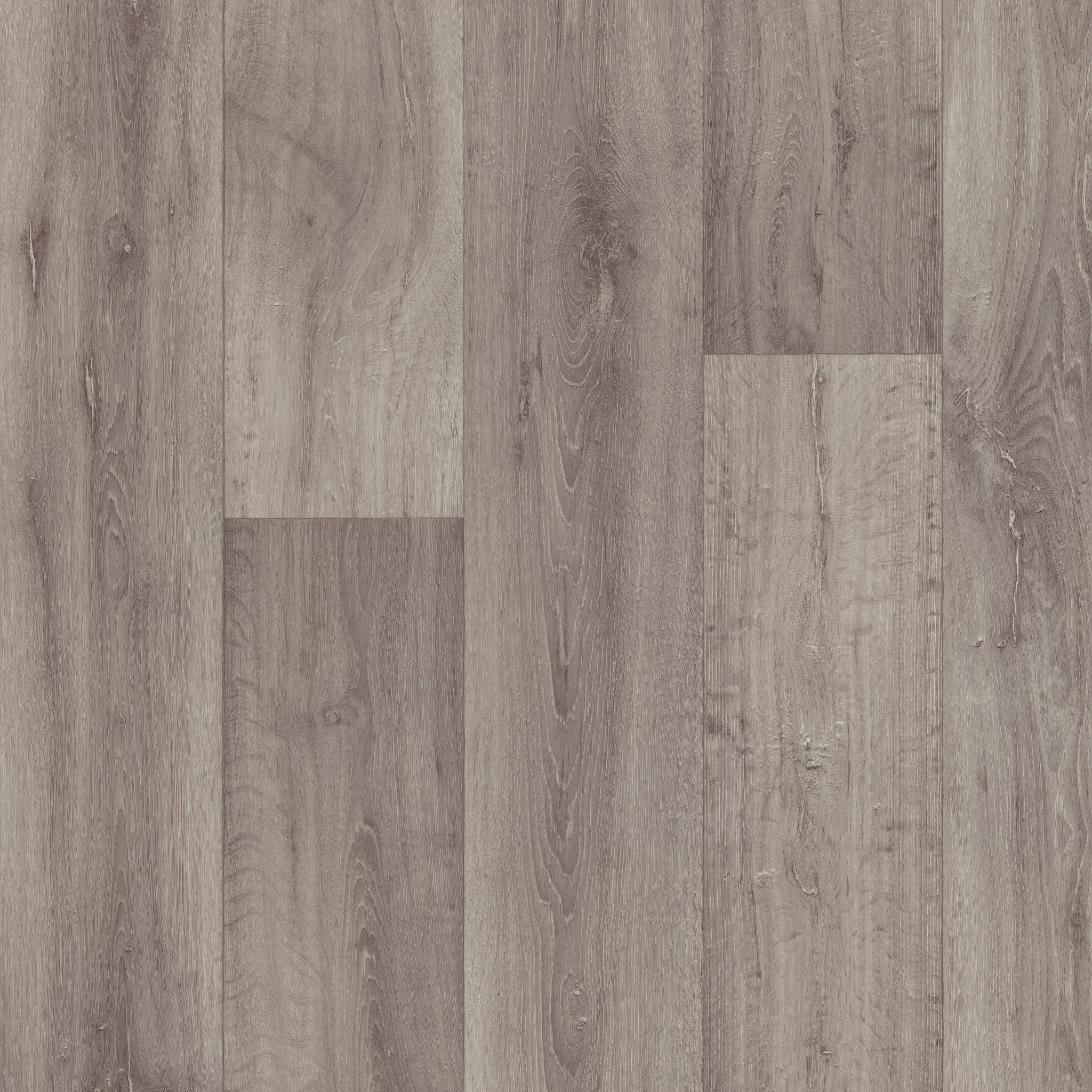 SERENDIPITY NORMA MAIN