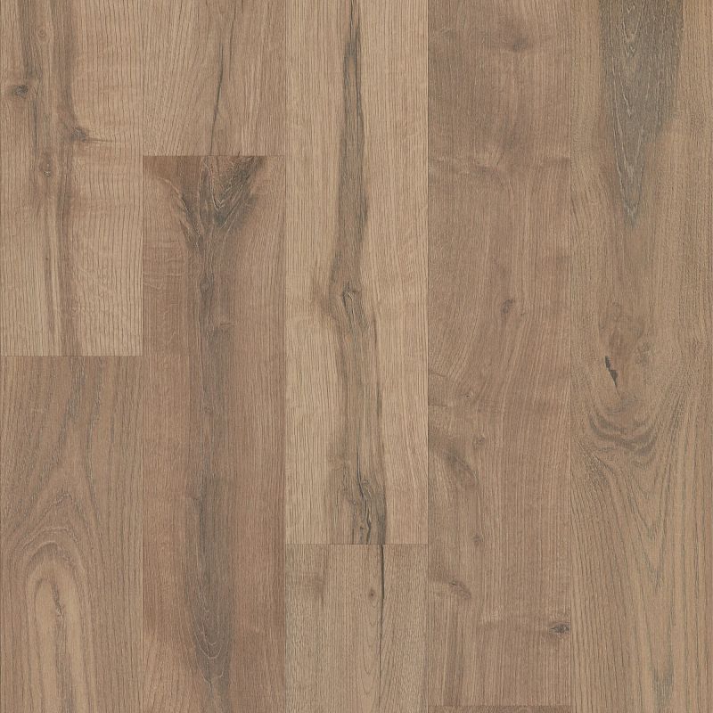 Shaw Industries Oak Grove Stone Brown