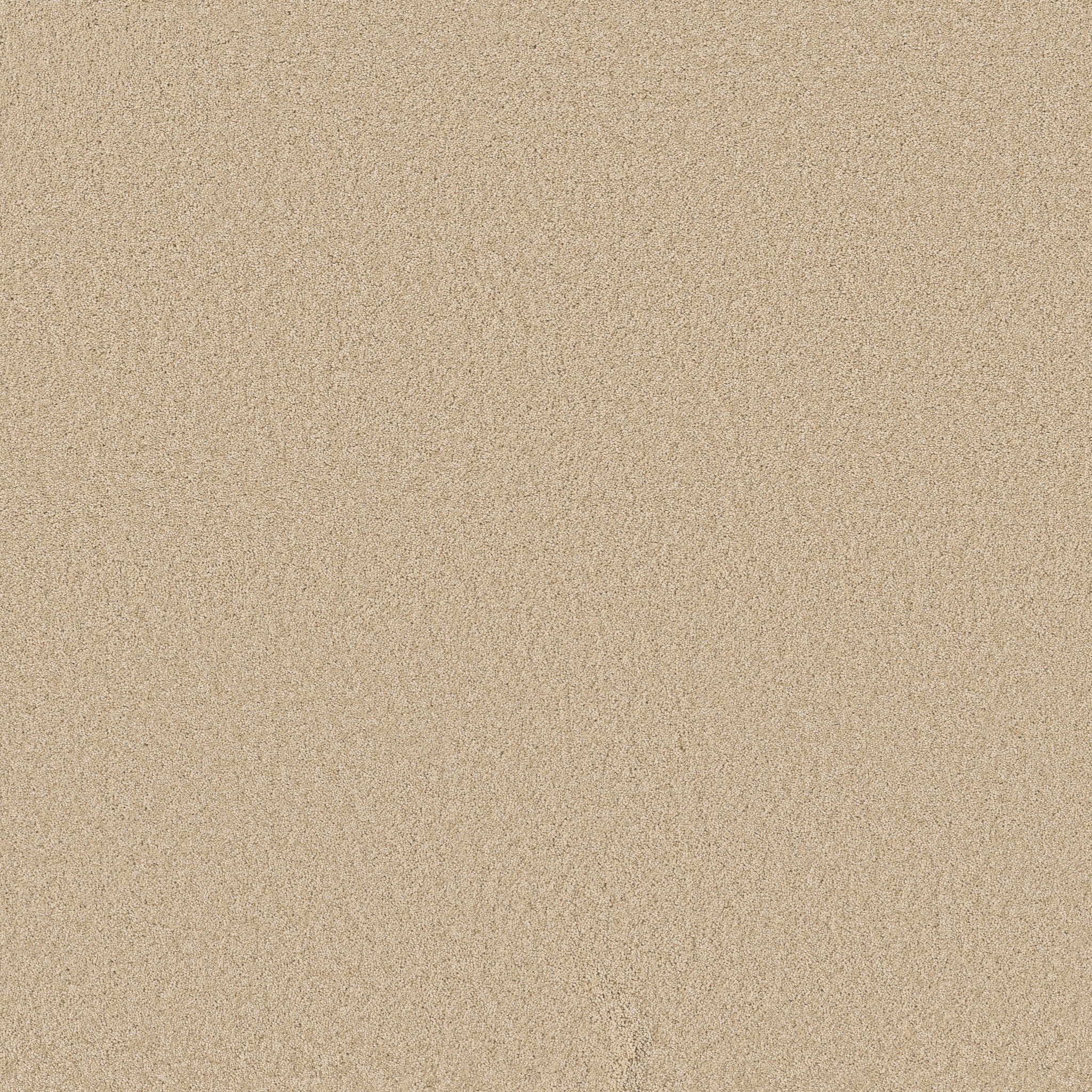 ENCHANTING PAPYRUS MAIN