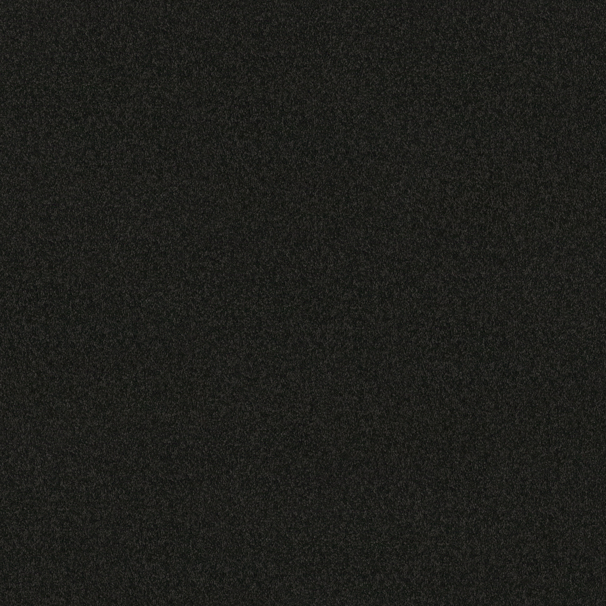 NEWBERN CLASSIC 12' COAL BLACK MAIN