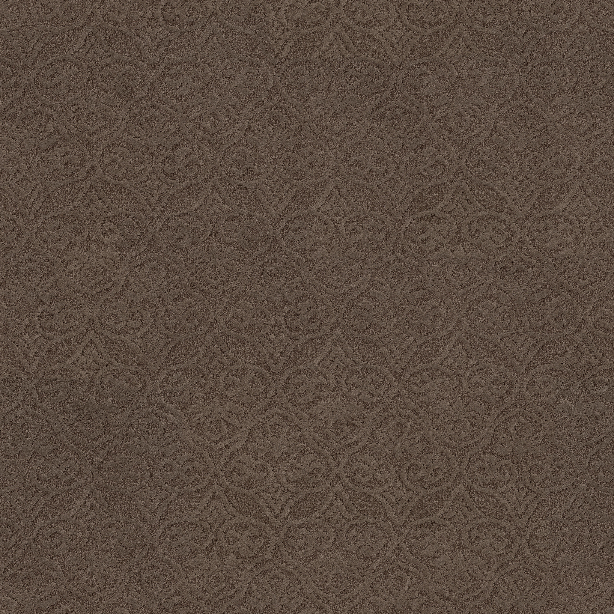 MODERN AMENITIES SPRING-WOOD MAIN