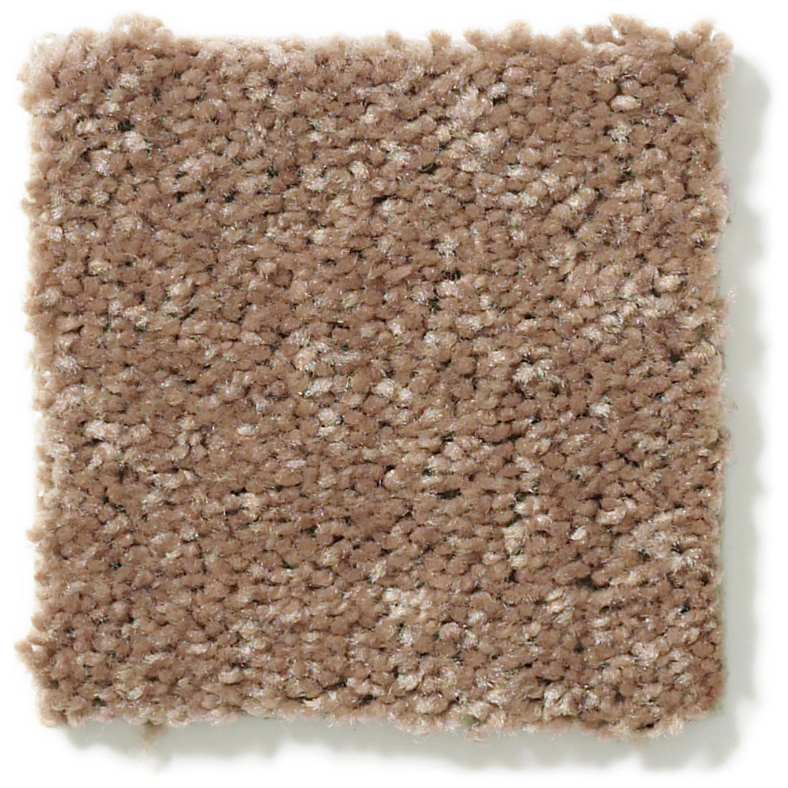 DYERSBURG CLASSIC 12' CANDIED TRUFFLE SWATCH