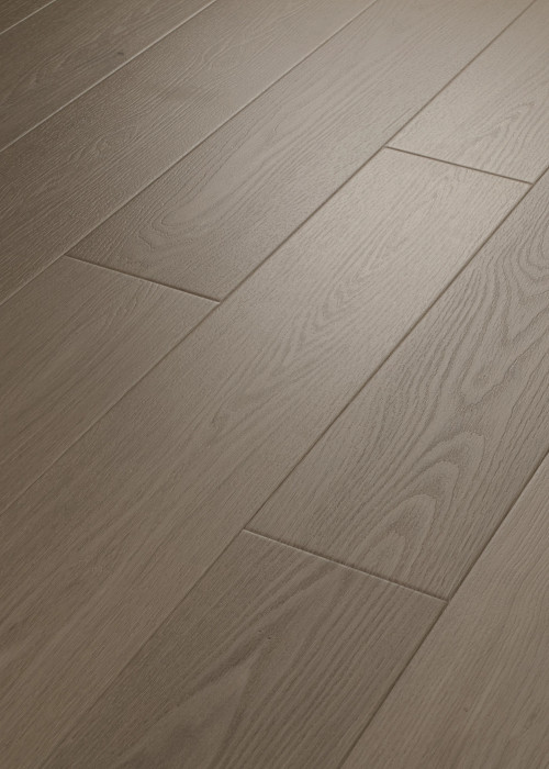 Meditative Oak