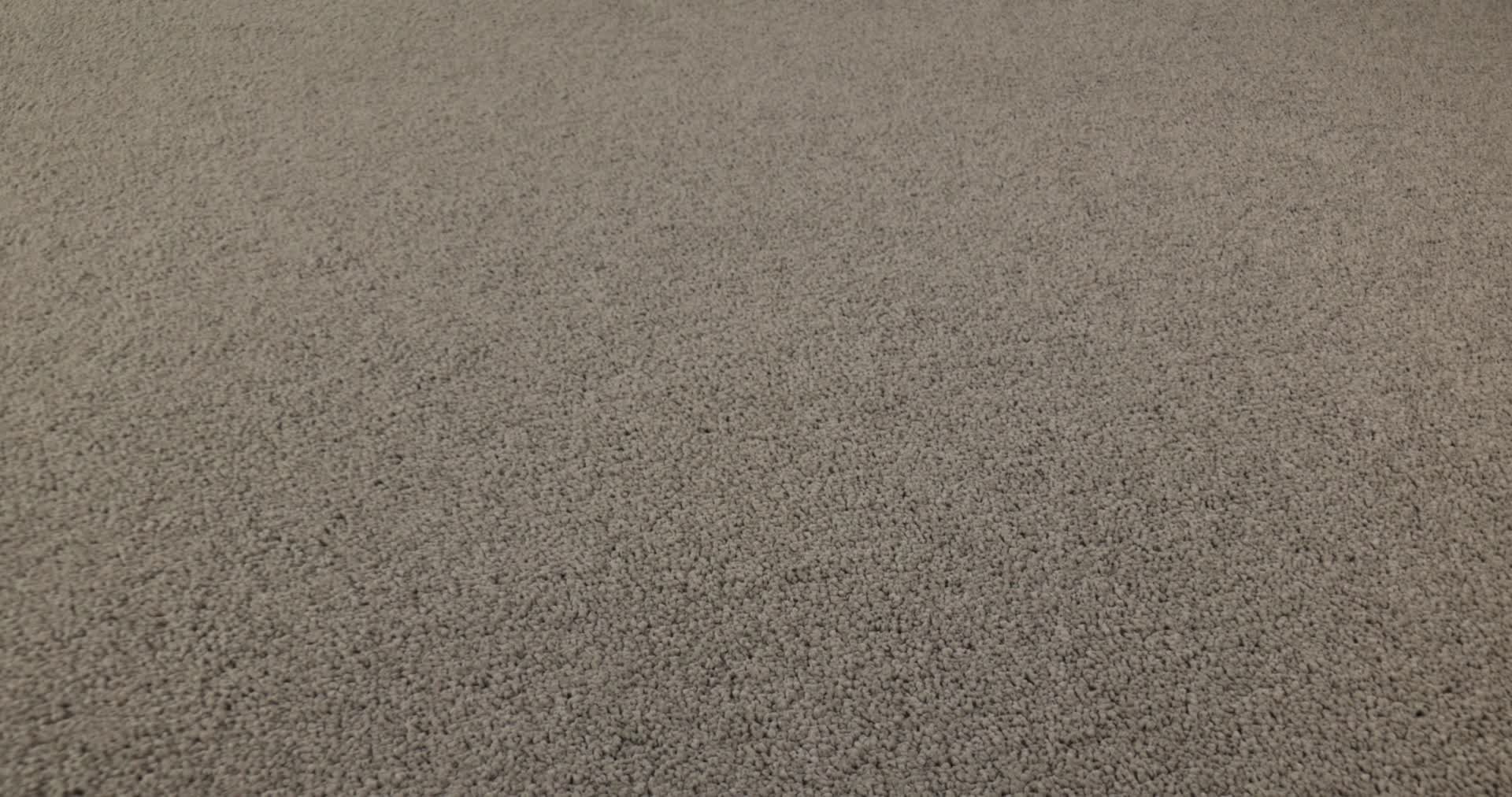 VELVET TOUCH I PLAZA TAUPE 360PROD