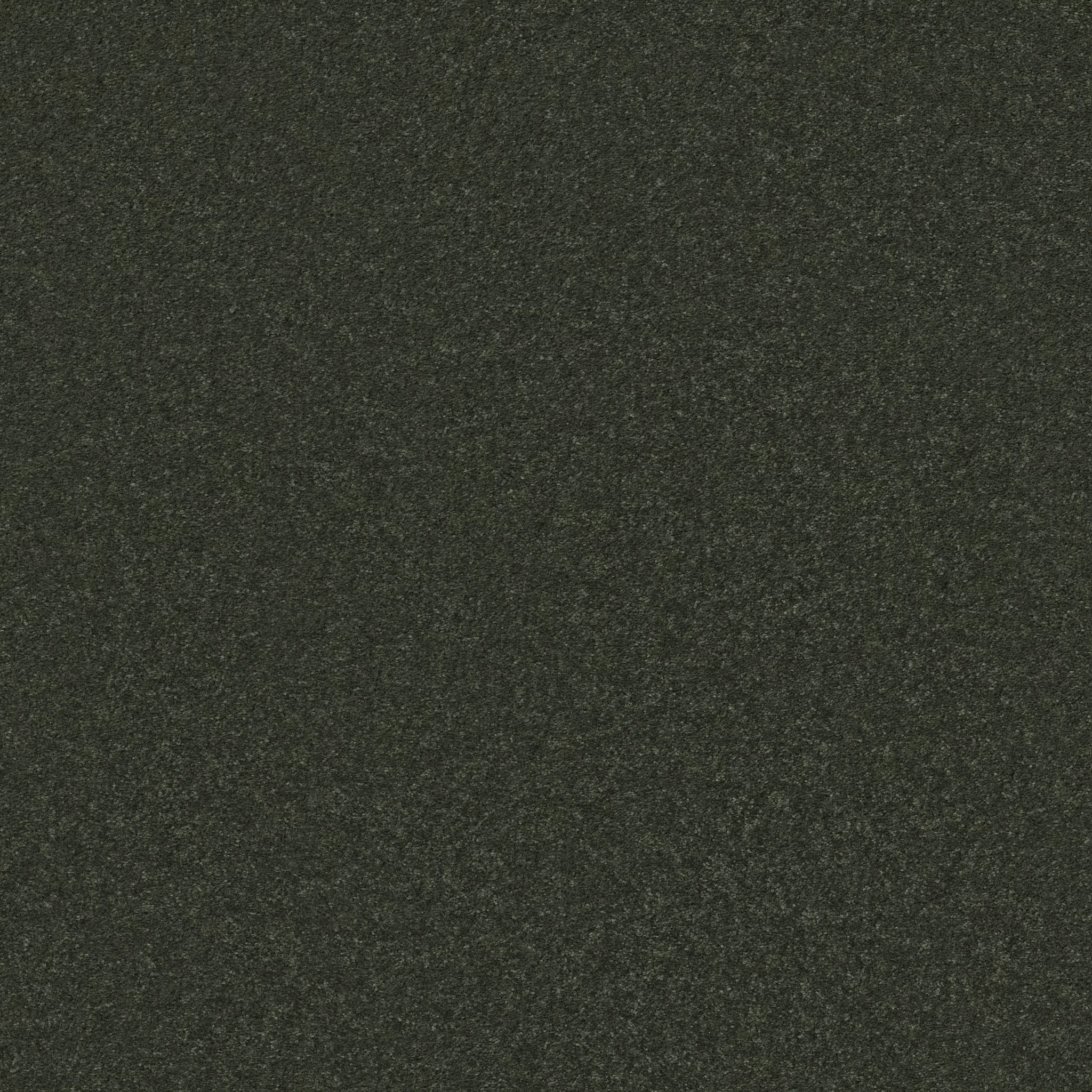 CHALLENGE ACCEPTED II 15' ASPEN MAIN