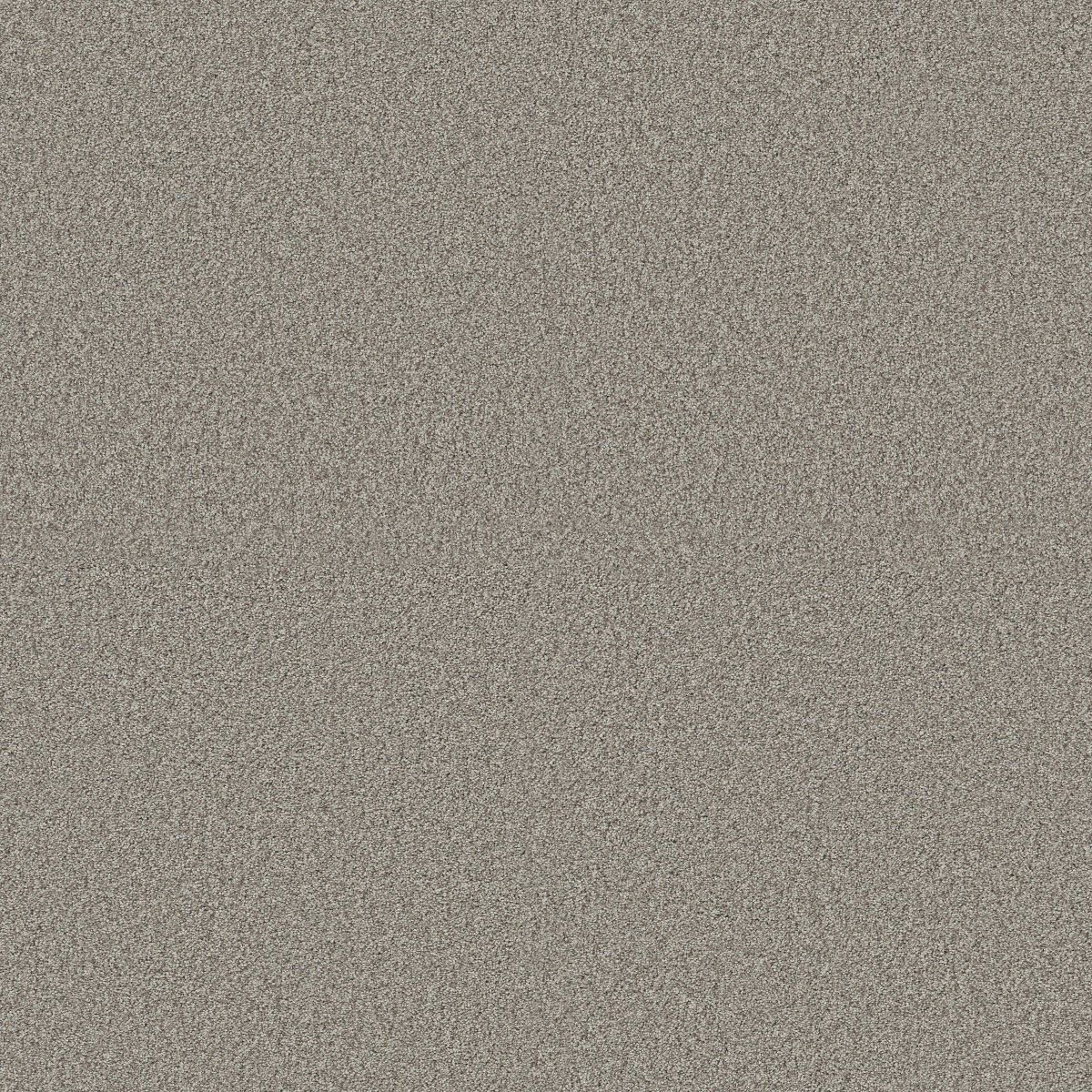Shaw Floors TONAL COMFORT II — BACK PATIO