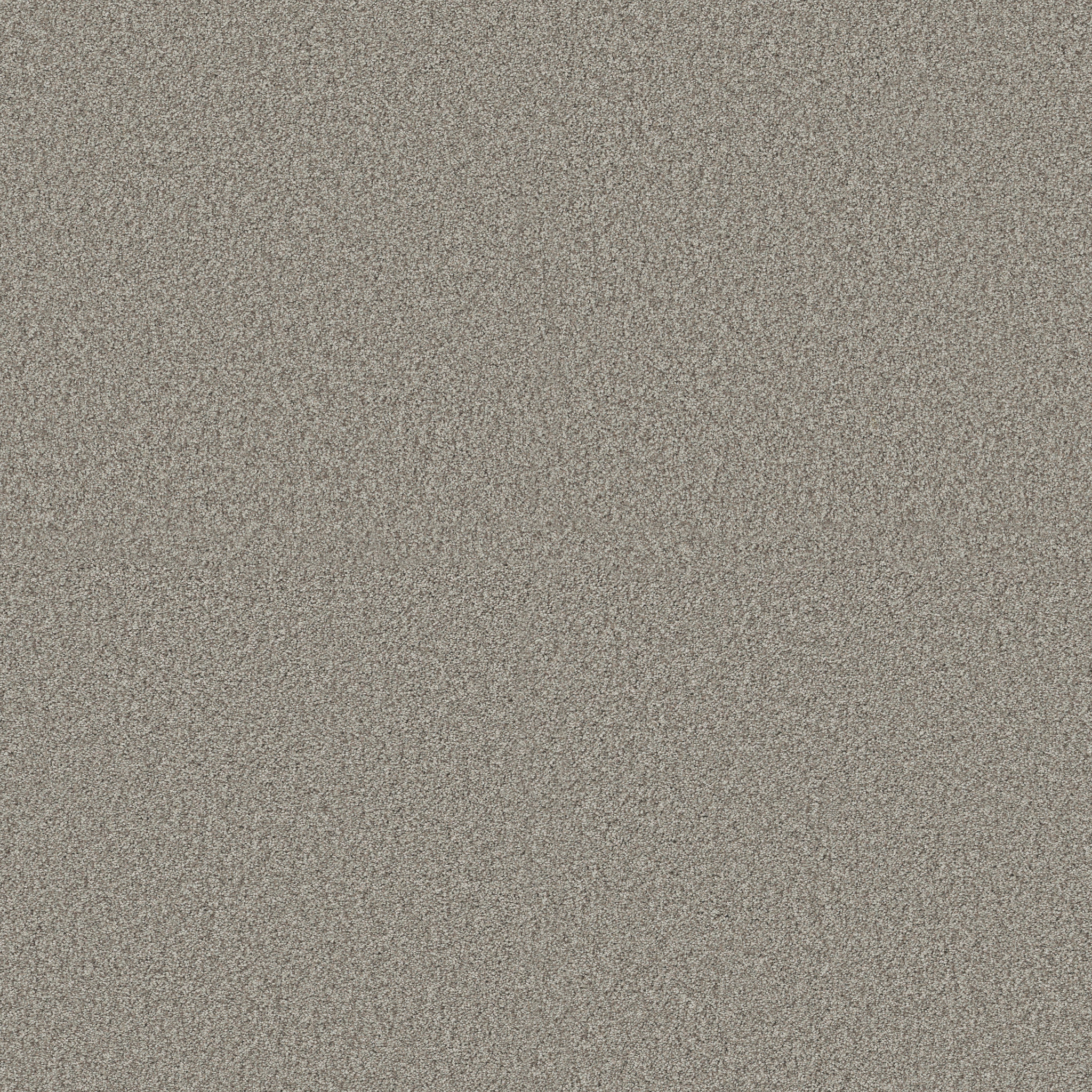 Find your comfort II - Tonal BACK PATIO (T) MAIN