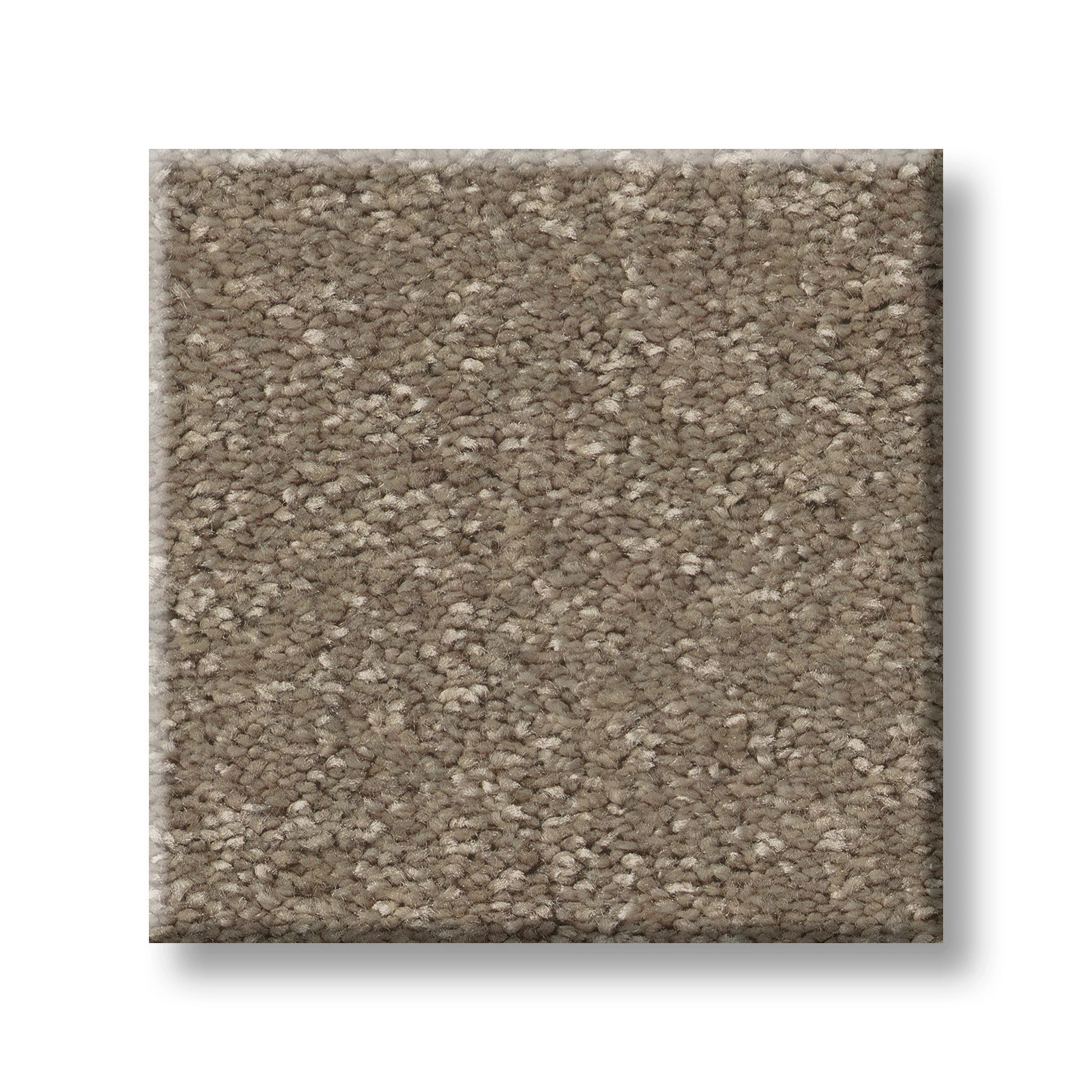 WAY TO GO III CHIC TAUPE SWATCH