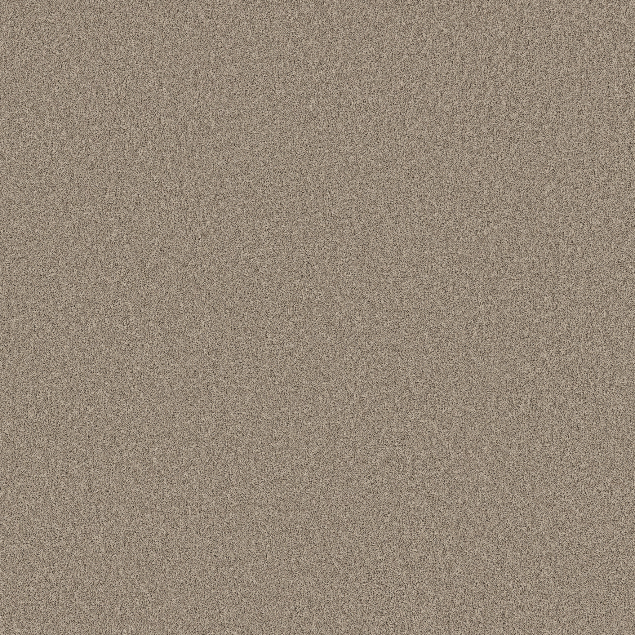 NEW MEMORIES S ON THE EDGE MAIN