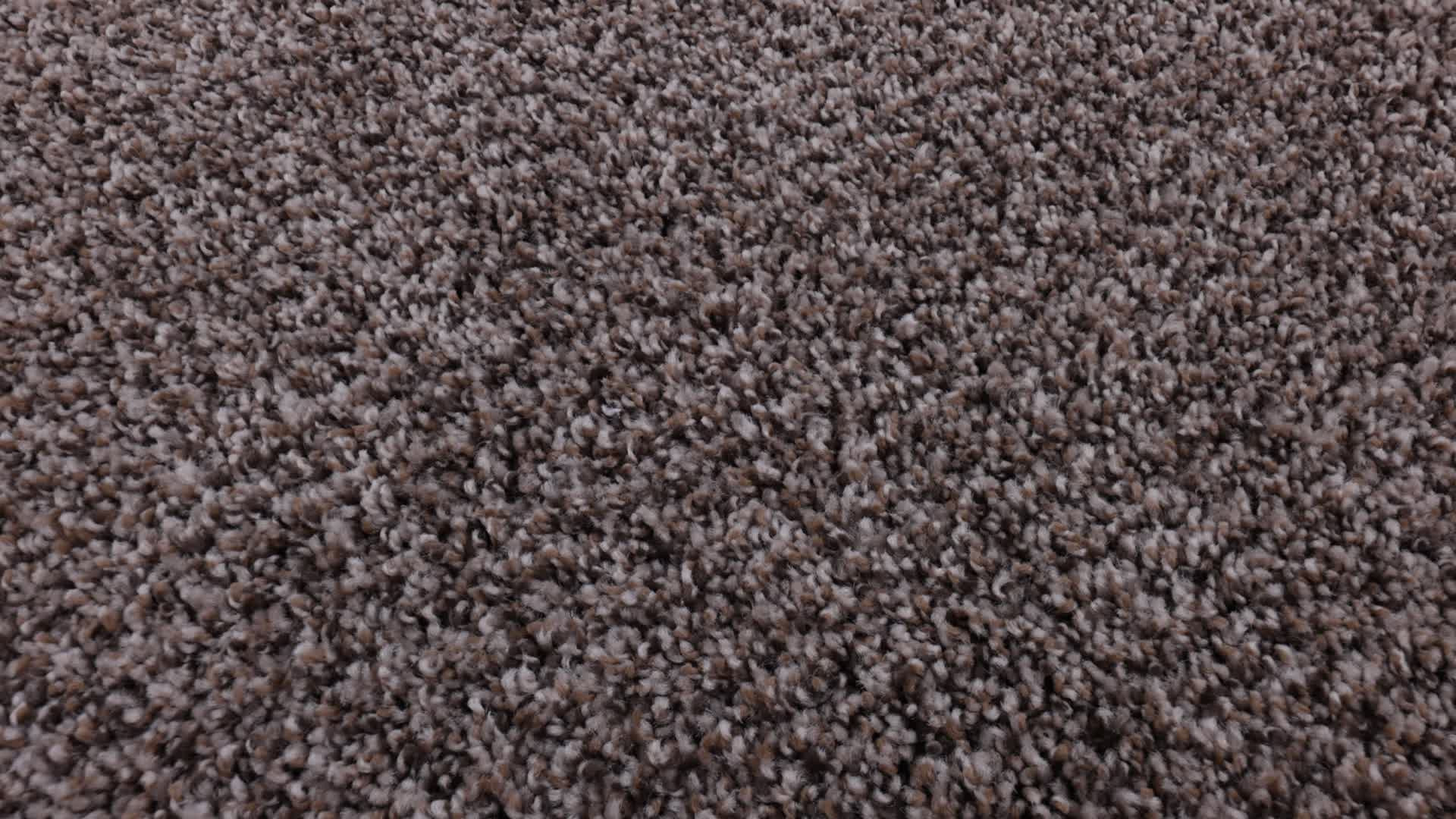 BREAK FREE BASKETRY 360PROD