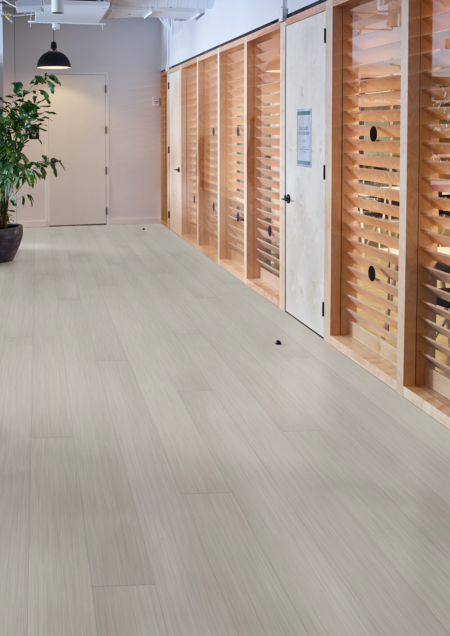 PHILOSOPHER'S-TREE-5599V-FOSSIL-00111-room-image