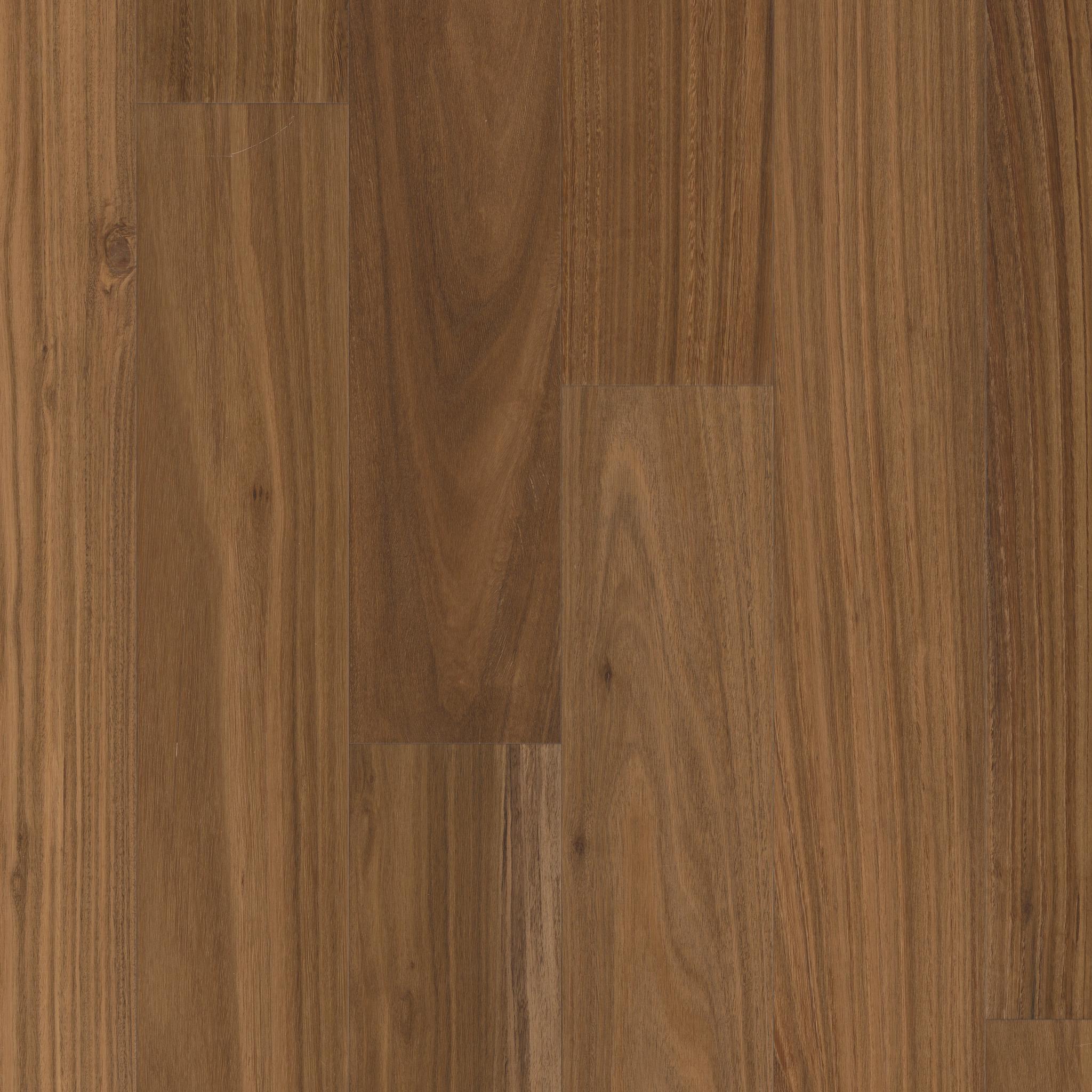 Valencia Walnut in Sepia