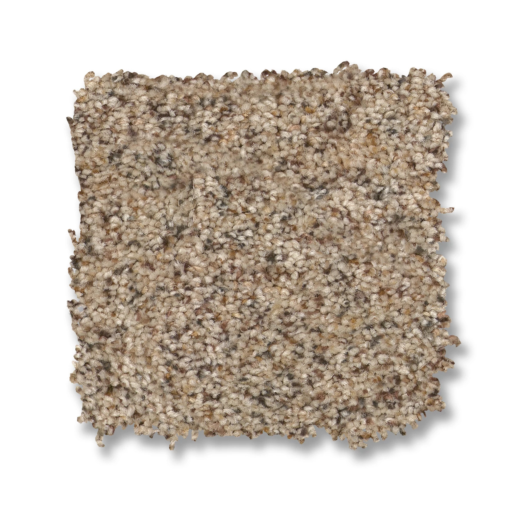 Topanga Canyon DOGWOOD SWATCH