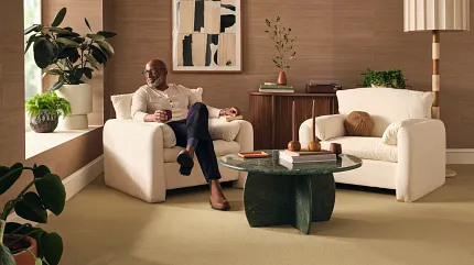 Beige Synthetic Carpet in Modern Living Room Setting Modern living room with beige synthetic carpet and contemporary furniture