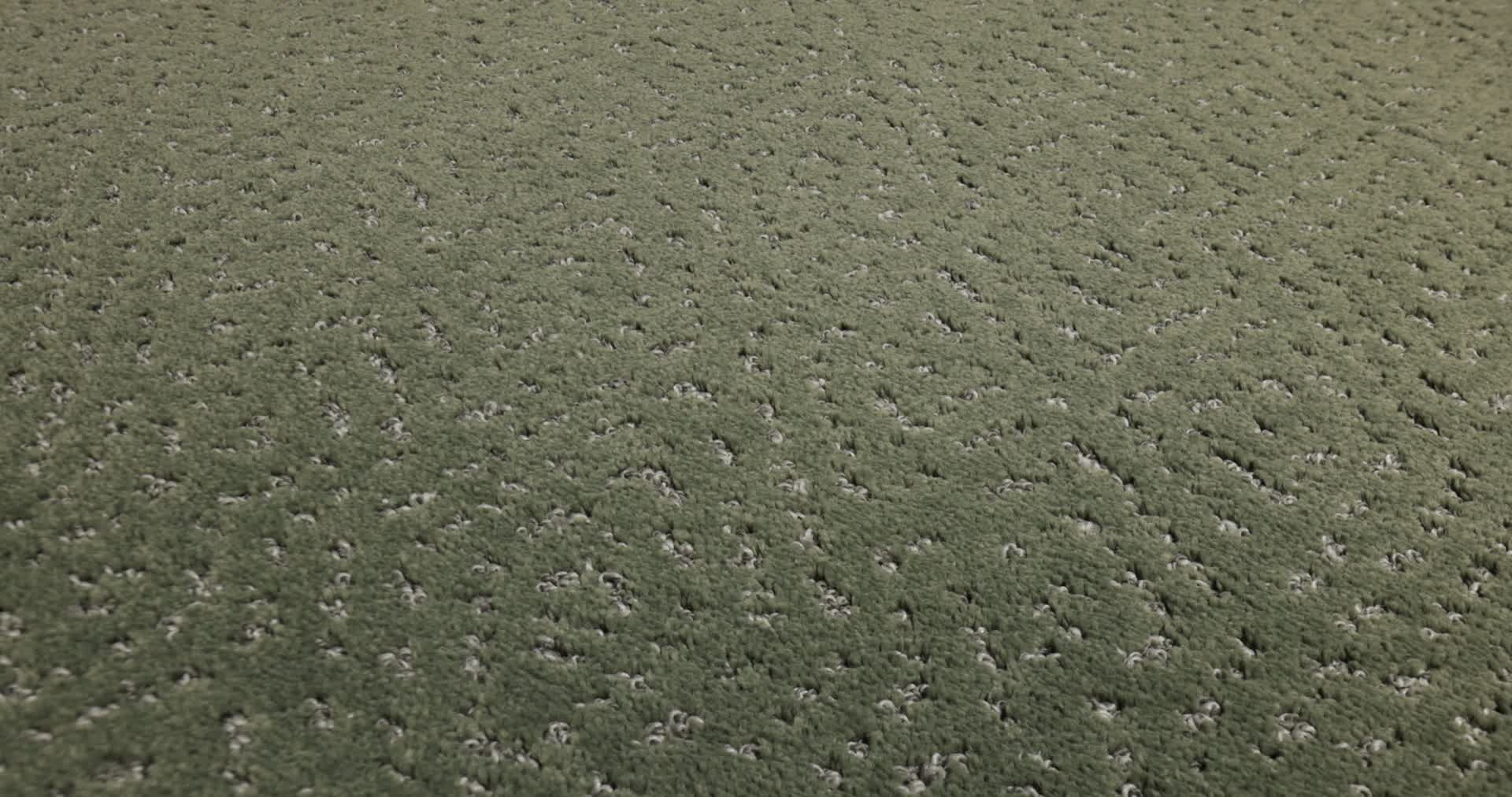 ELABORATE ARTIFACT REROOTED NATURE 360PROD