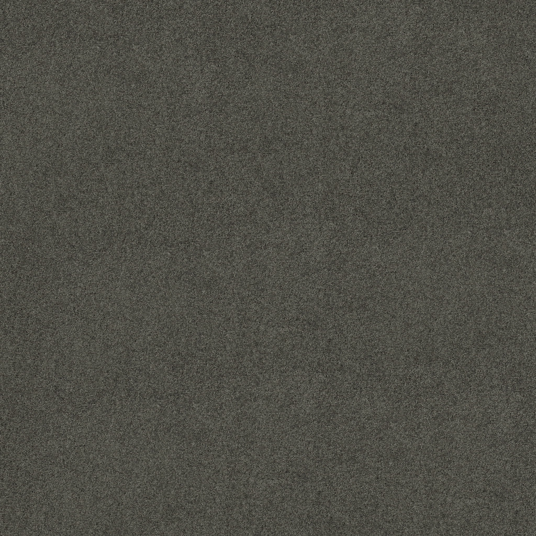 MY INSPIRATION I GRAPHITE MAIN