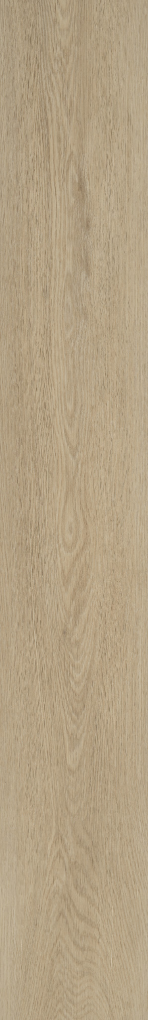 DISTINCTION PLUS TIMELESS OAK 1TO1