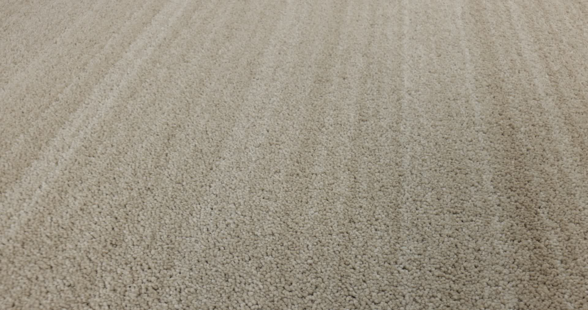 SERENE STRIA DRIED WHEAT 360PROD