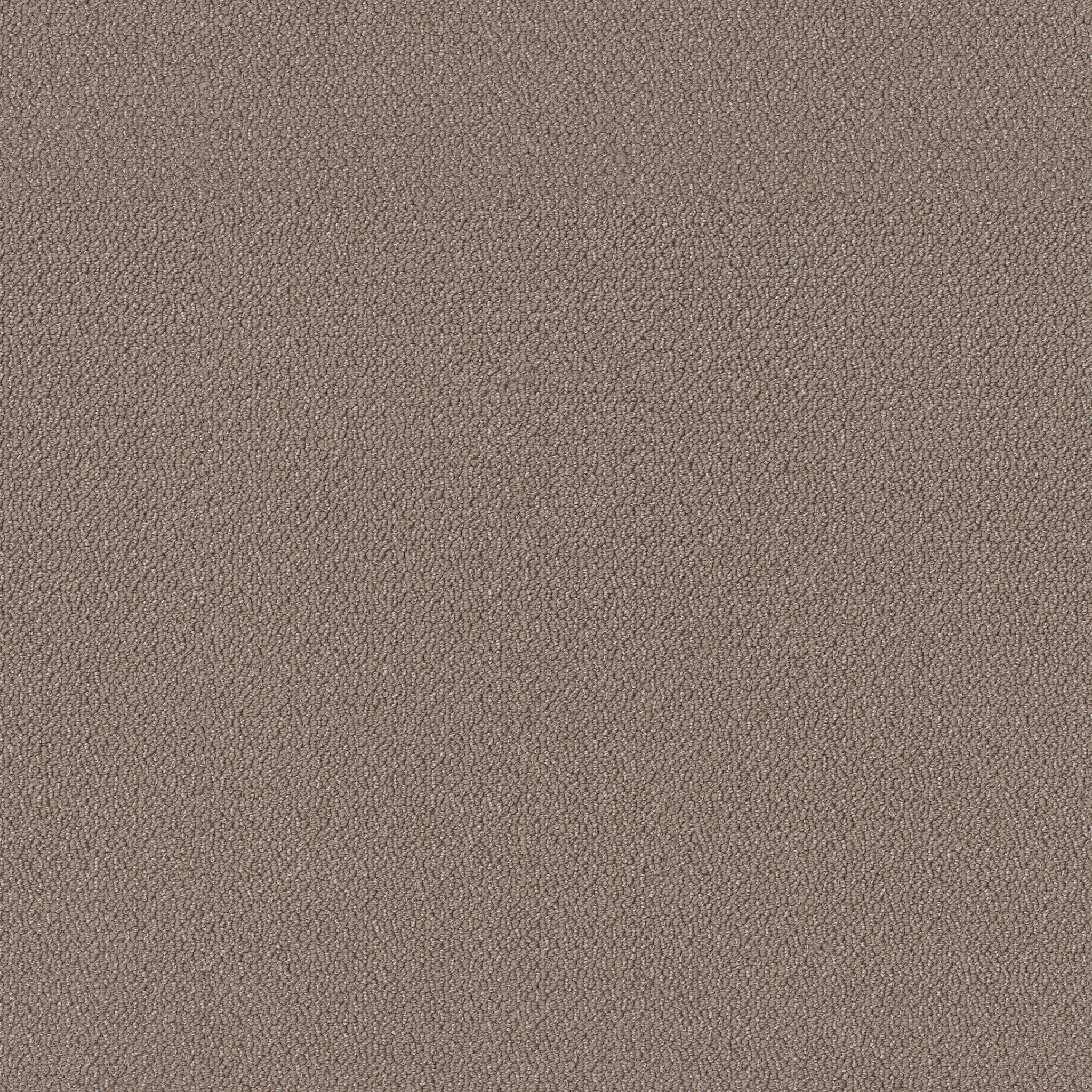 EMBELLISHED CHESTNUT MAIN