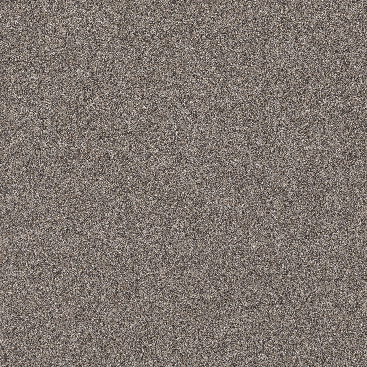 Shaw Floors SHAKE IT UP (A) — BURNT ASH