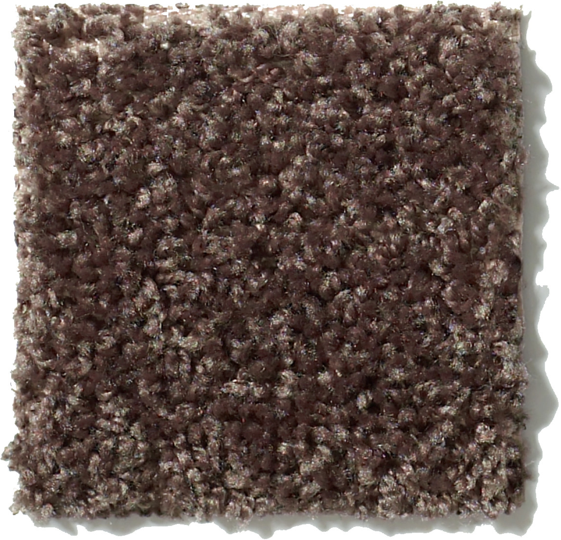 TAKE AWAY (S) MOCHA SWATCH