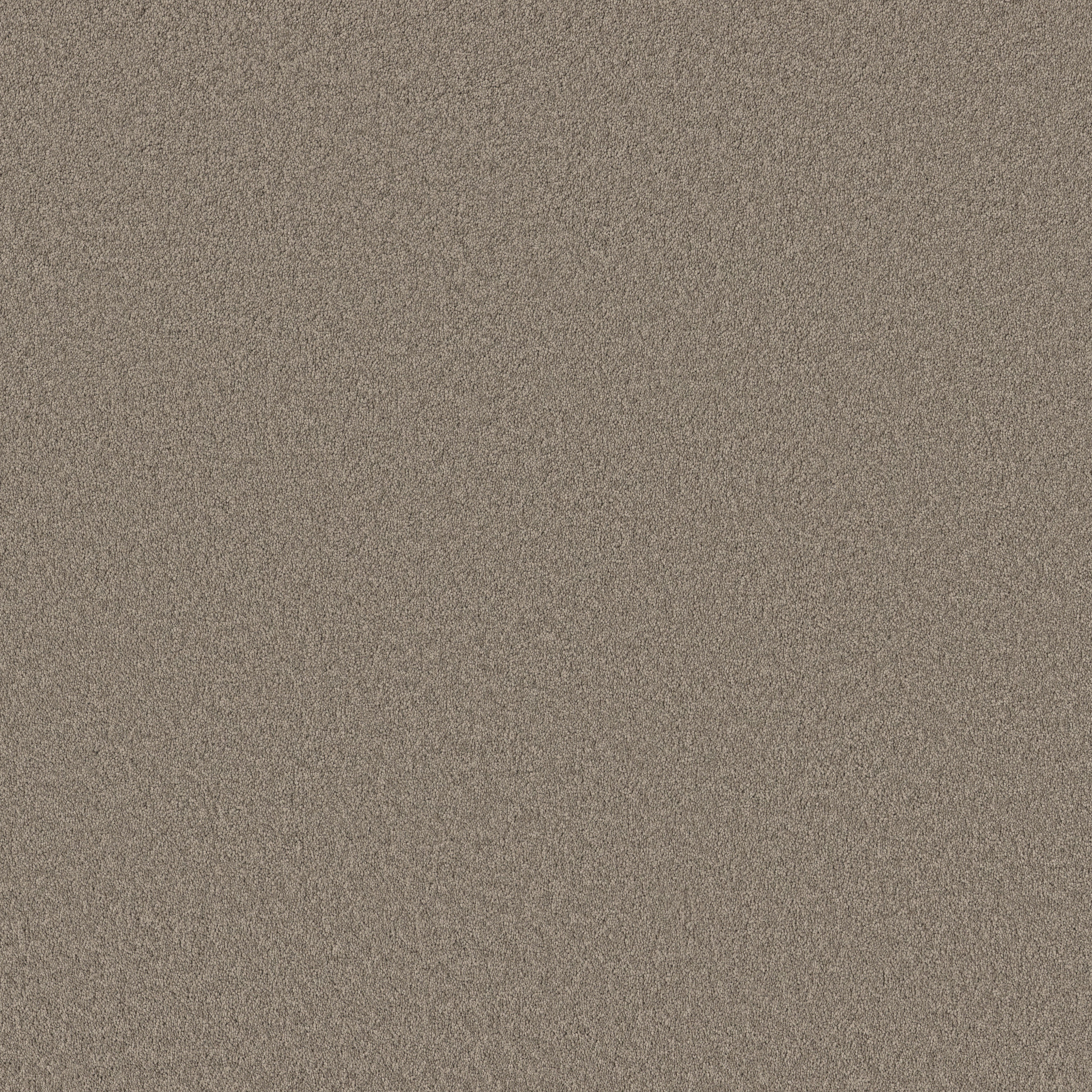 VELVET TOUCH II PLAZA TAUPE MAIN