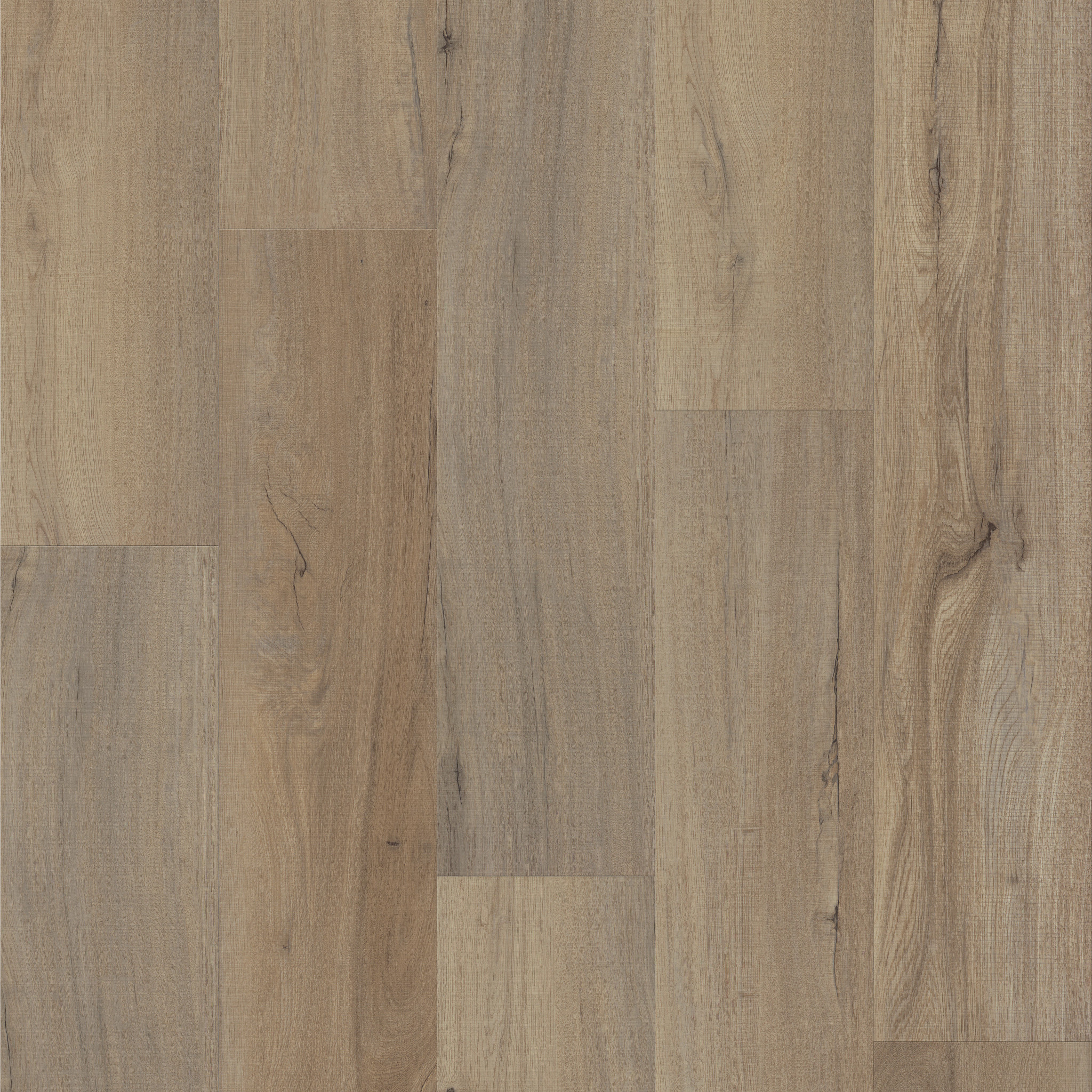 javaウッド Zebrawood by the Piece-3/4
