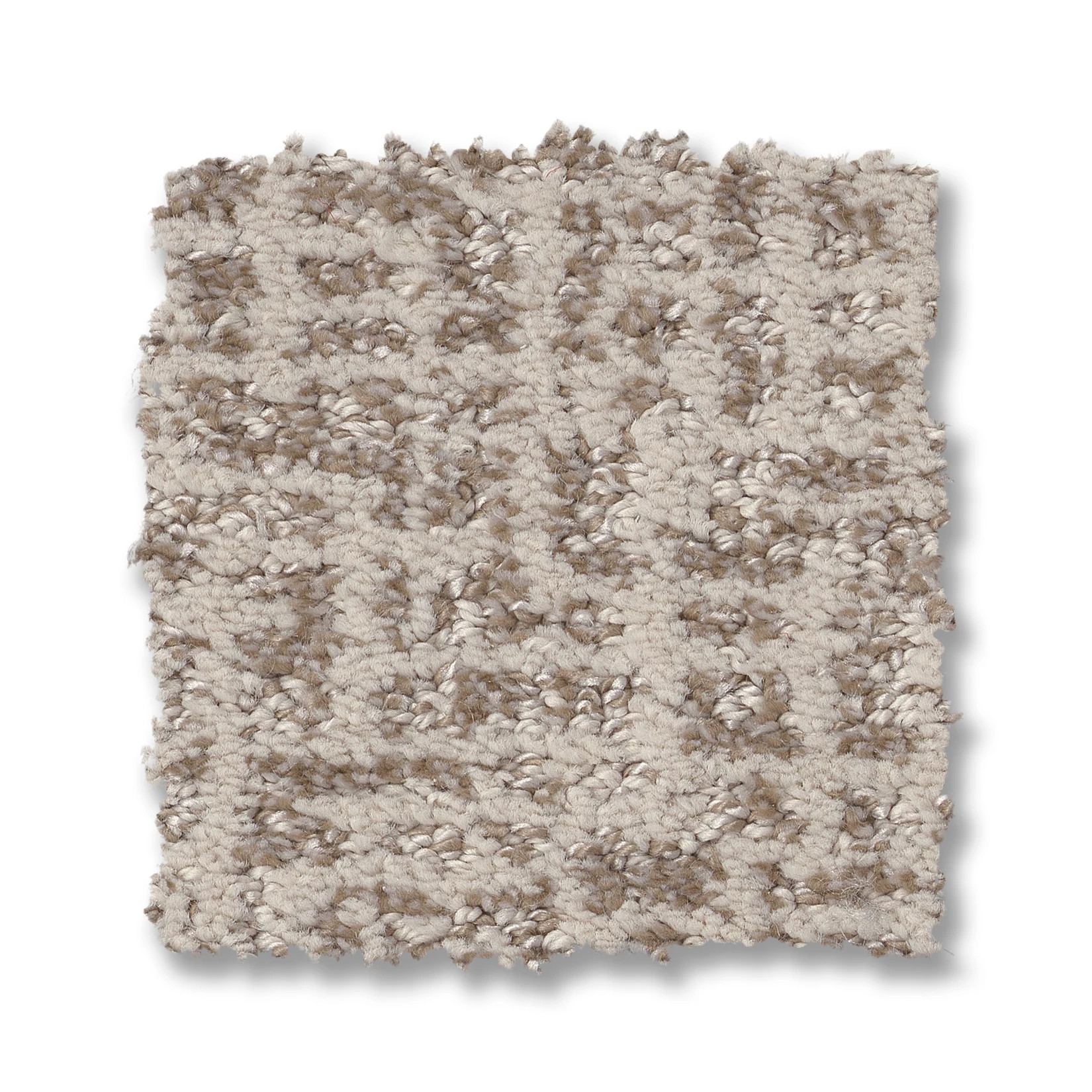 CABOODLE NOMADIC SWATCH