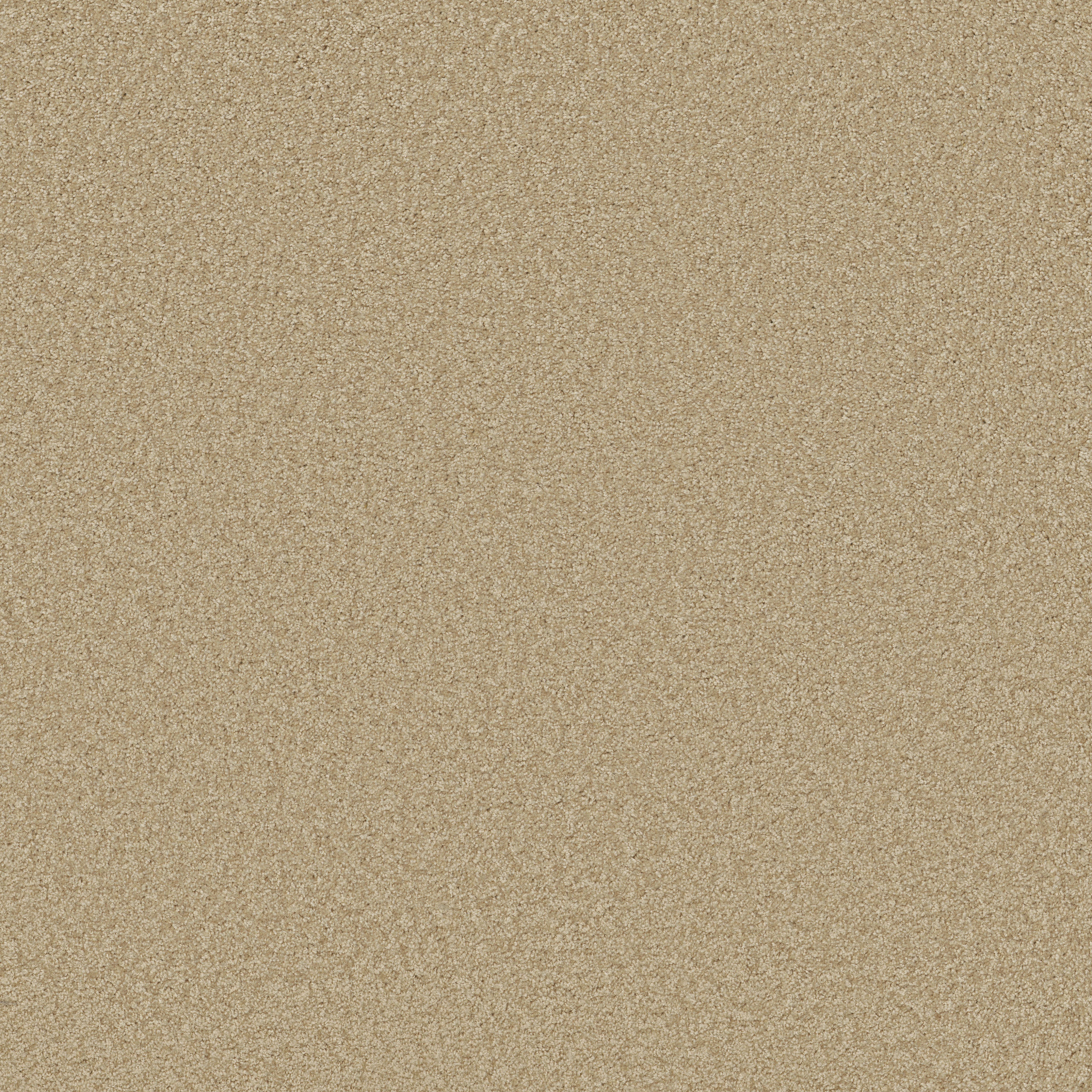 DAKOTA SPRINGS MUSLIN MAIN