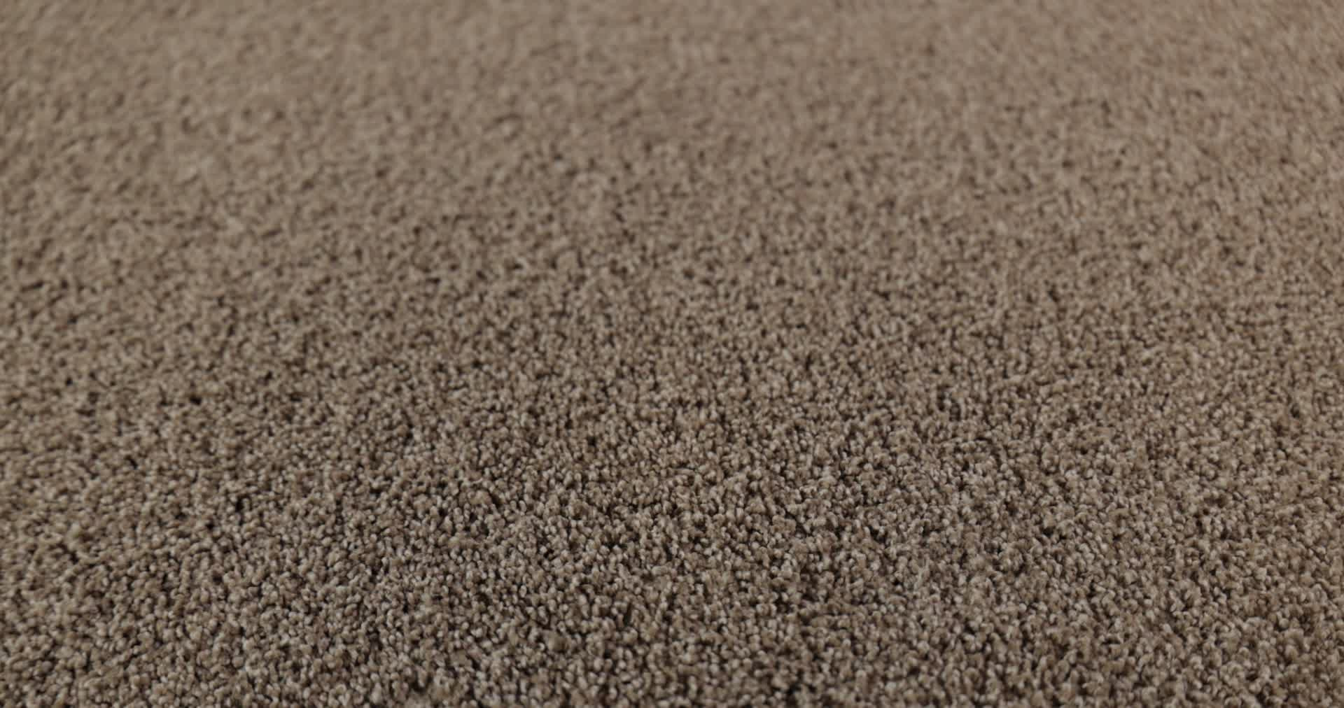 ALWAYS MINE CARIBOU 360PROD