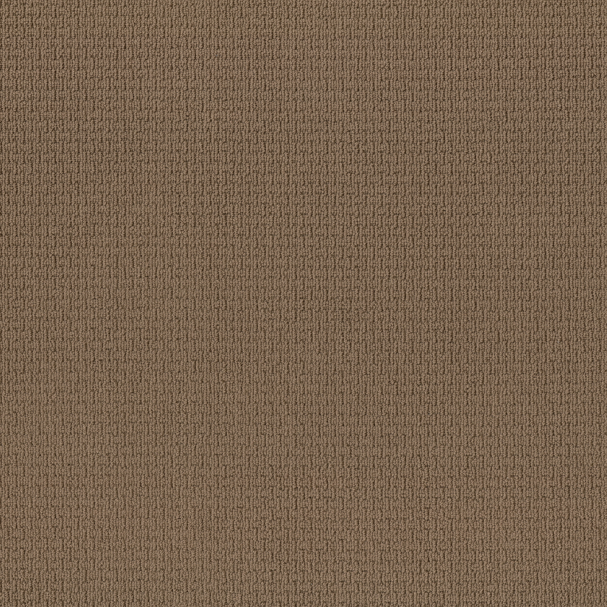 CASUAL LIFE BUCKAROO MAIN