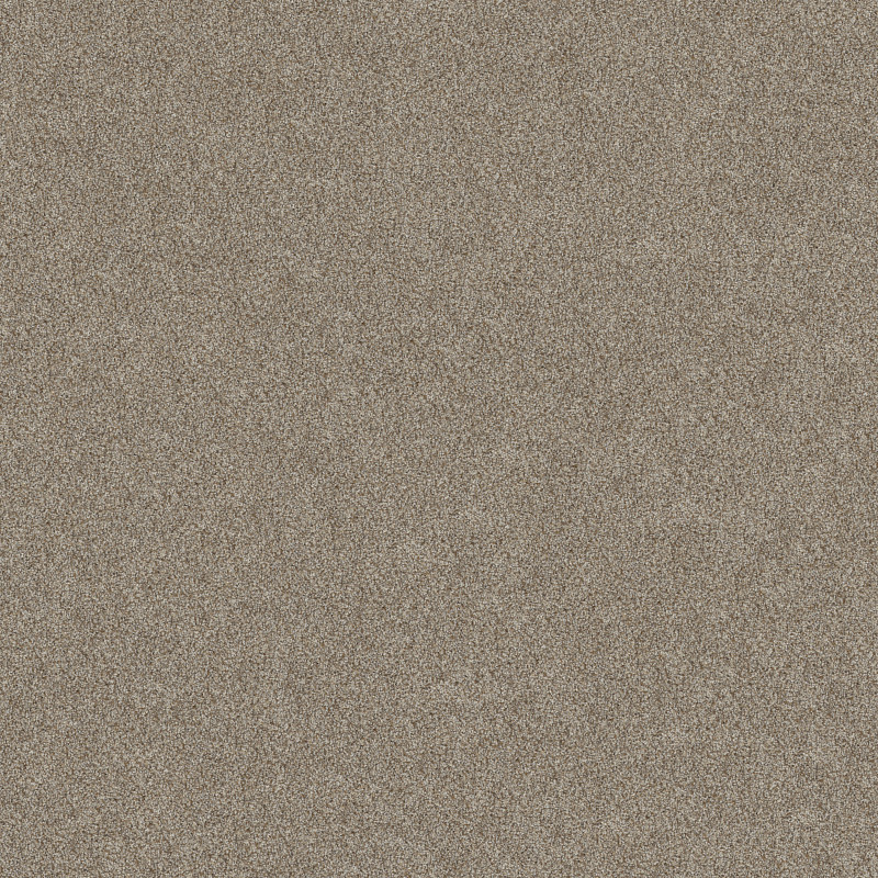 TRUSPIRIT I in Cottage by Shaw Floors