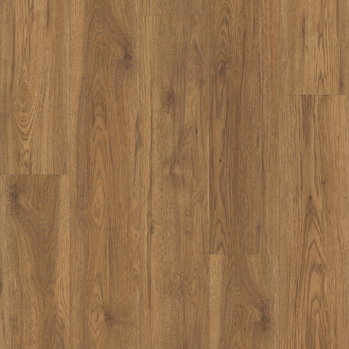 Marsh Oak