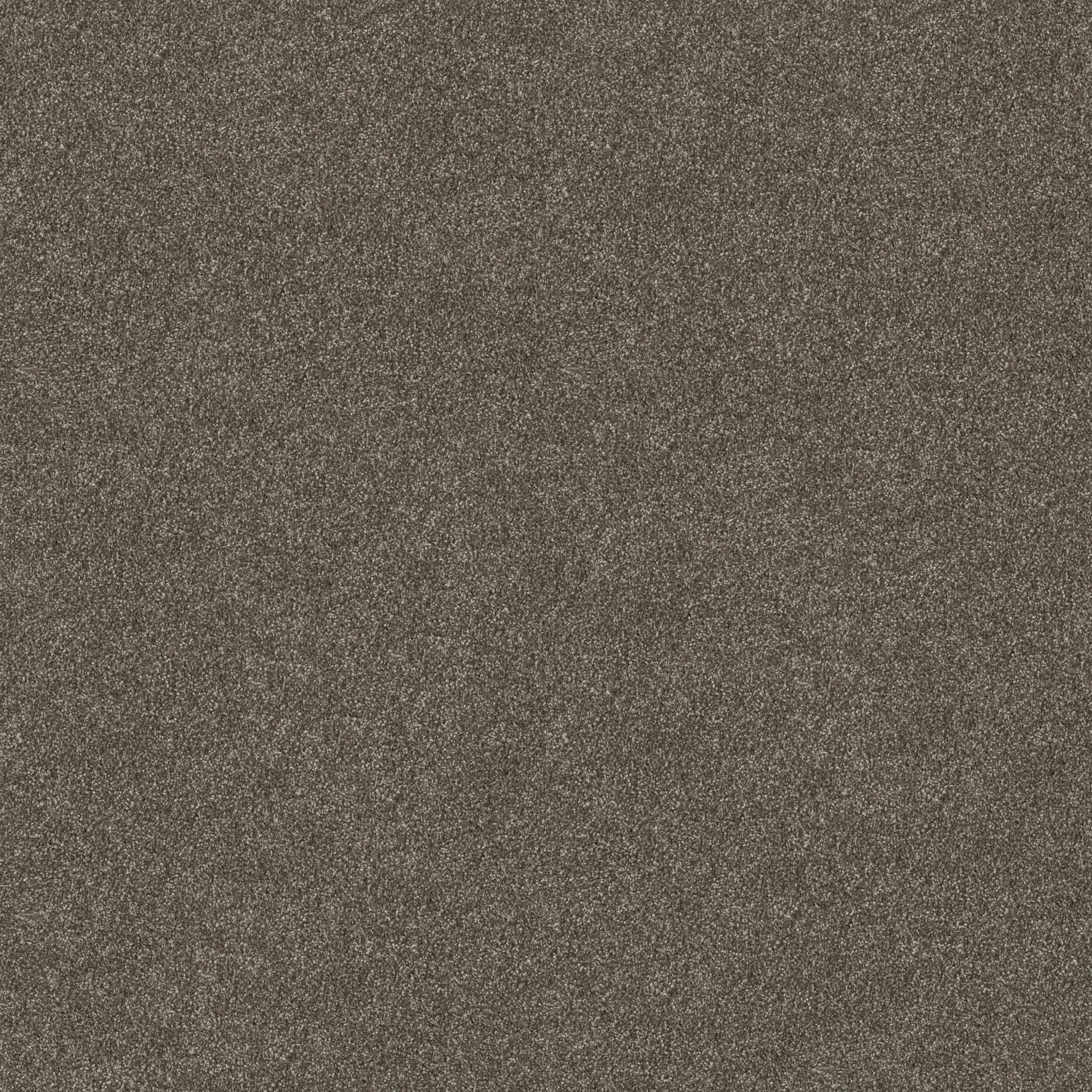 MAJORITY RULES BEAR MOUNTAIN MAIN