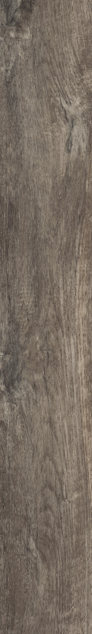 Smoky Oak