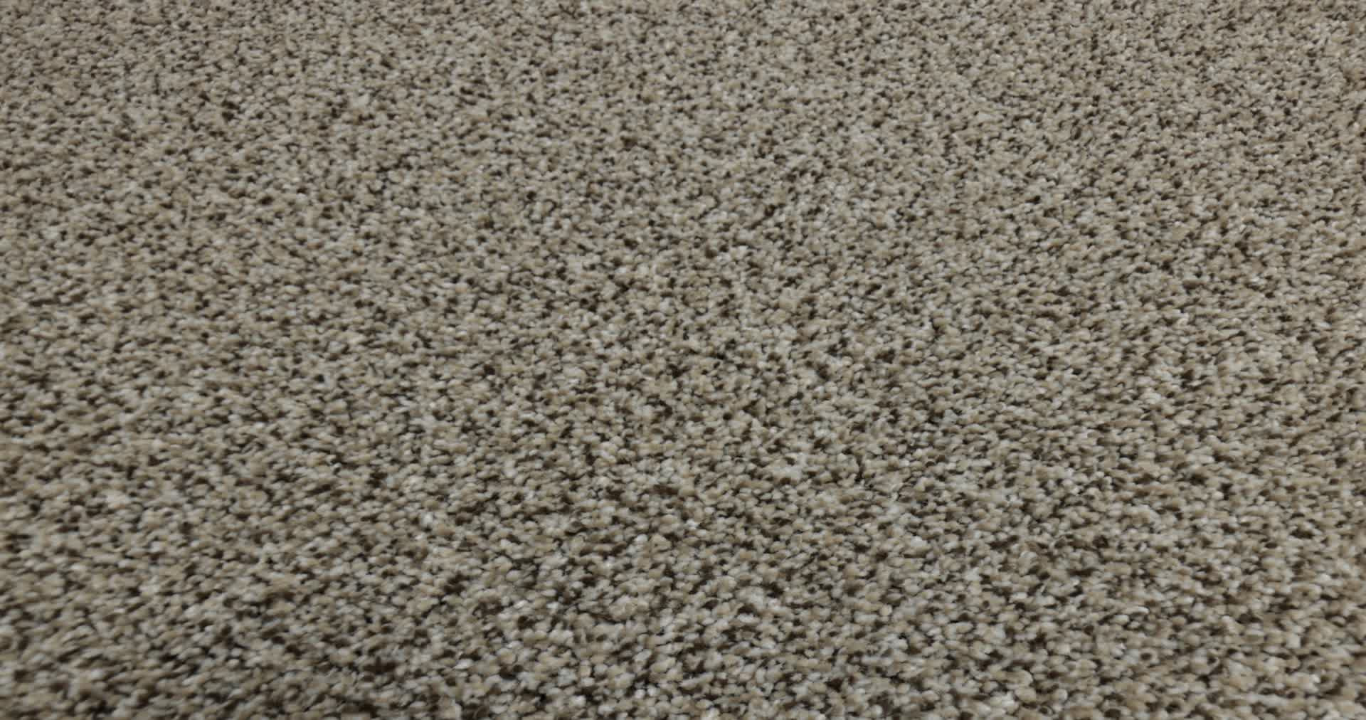 TruSpirit I TRUFFLE 360PROD