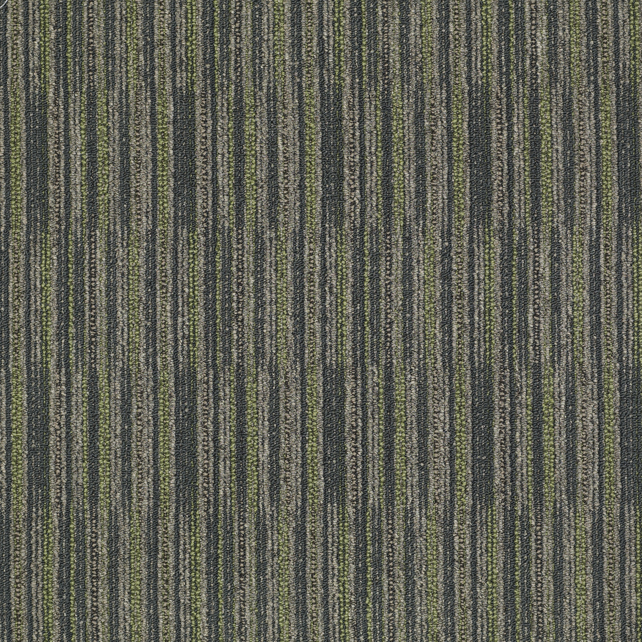 CUTAWAY-J0181-SPECIMEN-81306-main-image