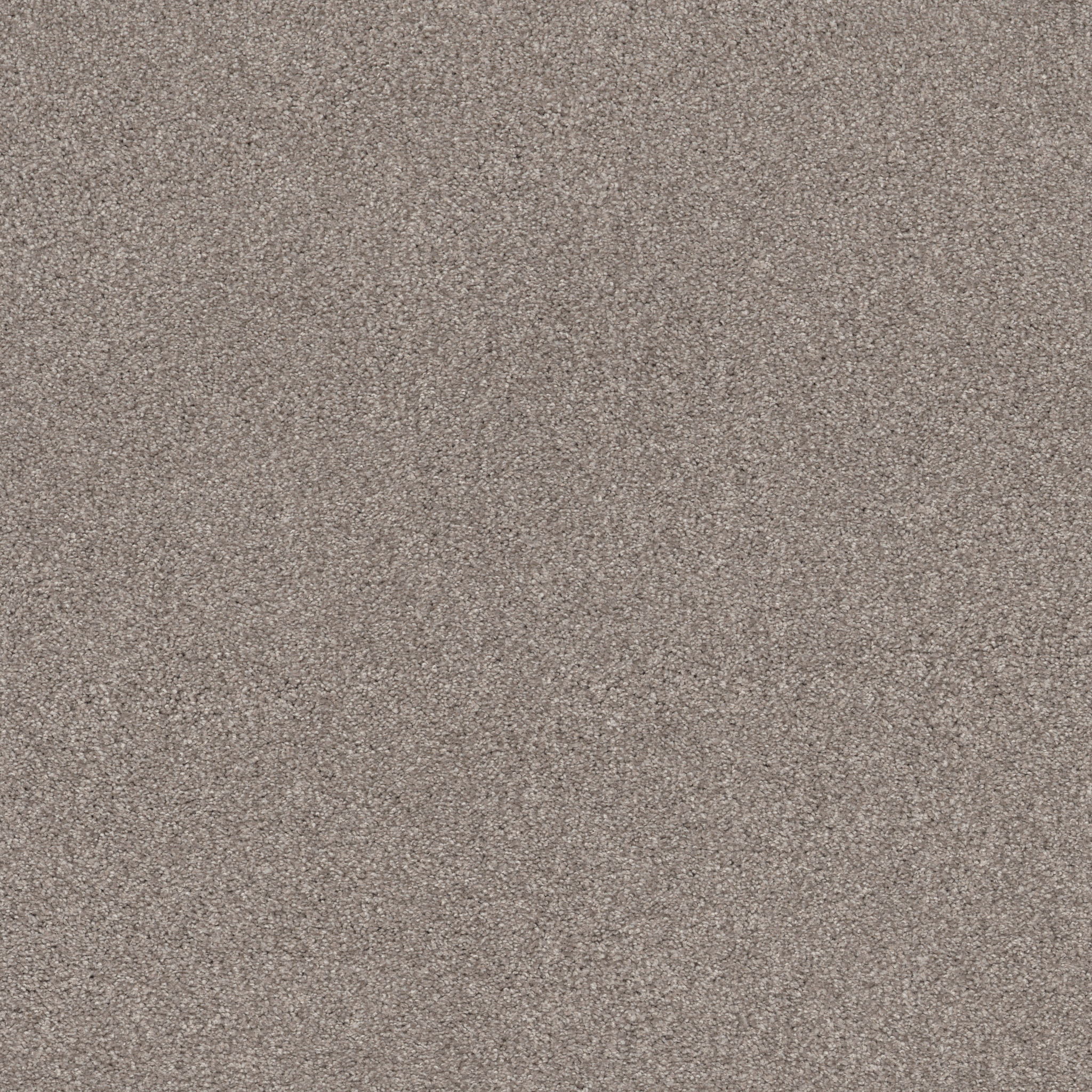 COZY HARBOR II STUCCO MAIN