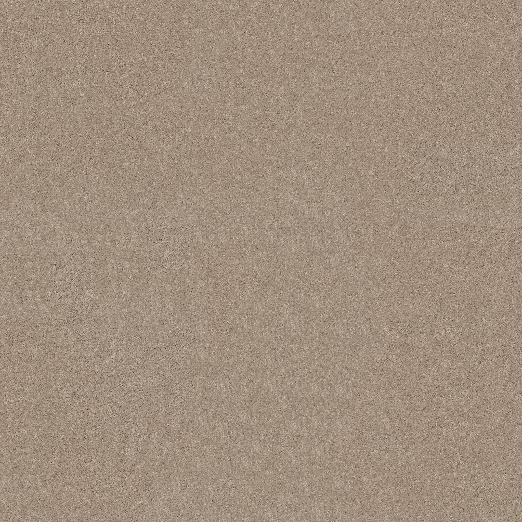 THAT'S RIGHT FRENCH CANVAS MAIN