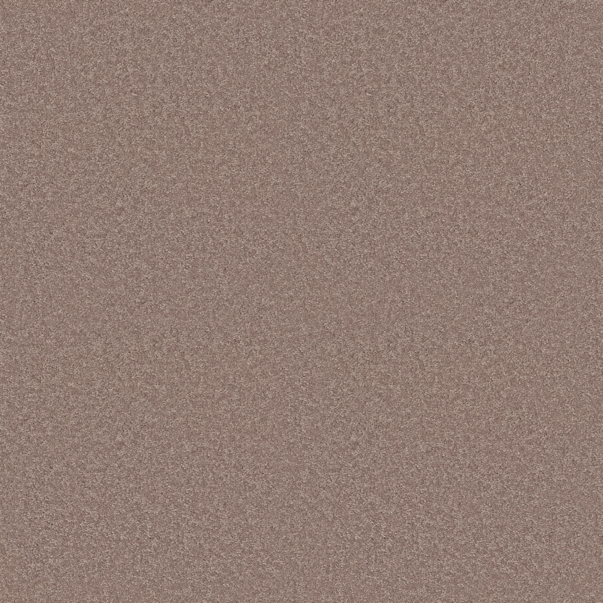 HOLLYWOOD REGENCY II 15' FAWN MAIN