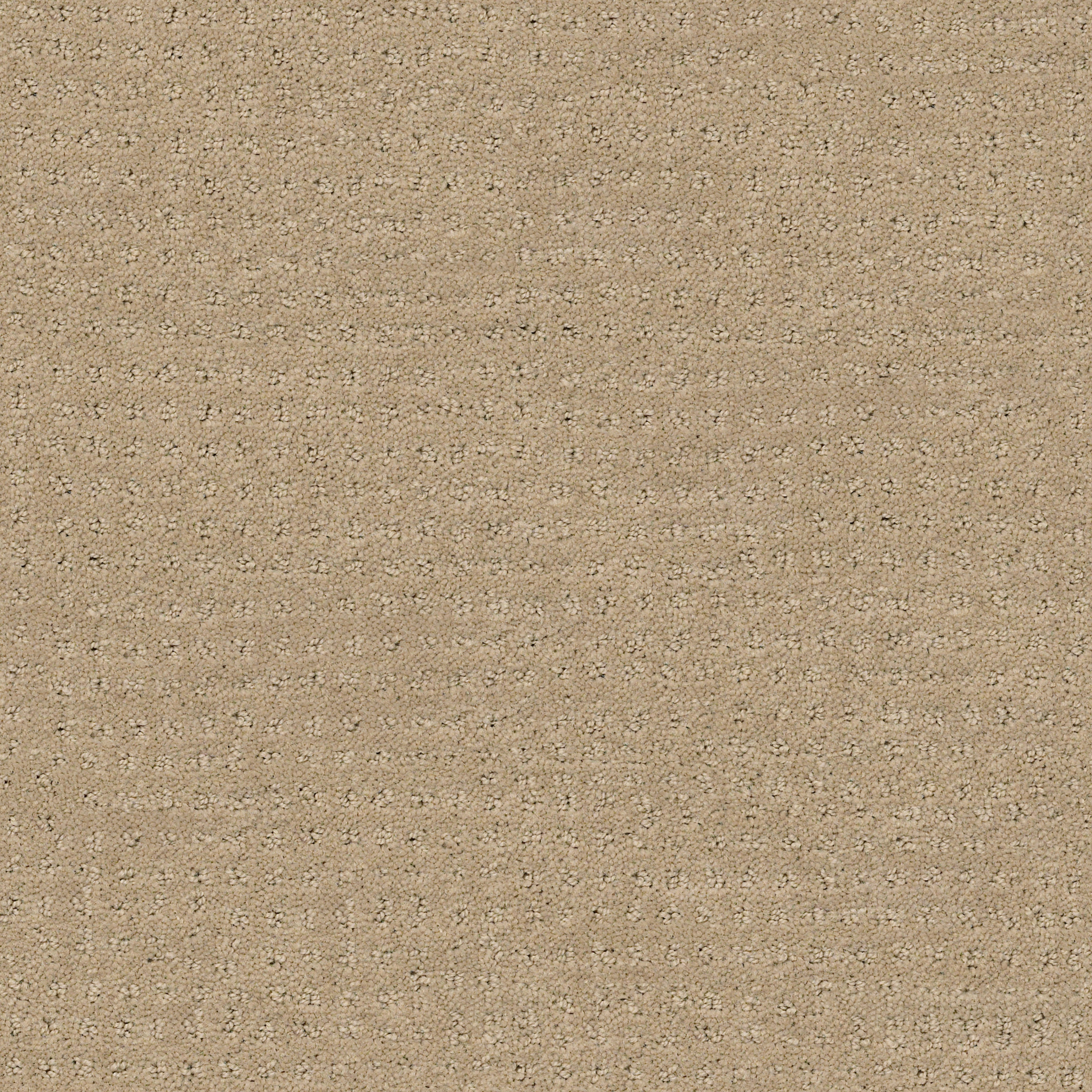 MY INSPIRATION PATTERN LATTÉ MAIN