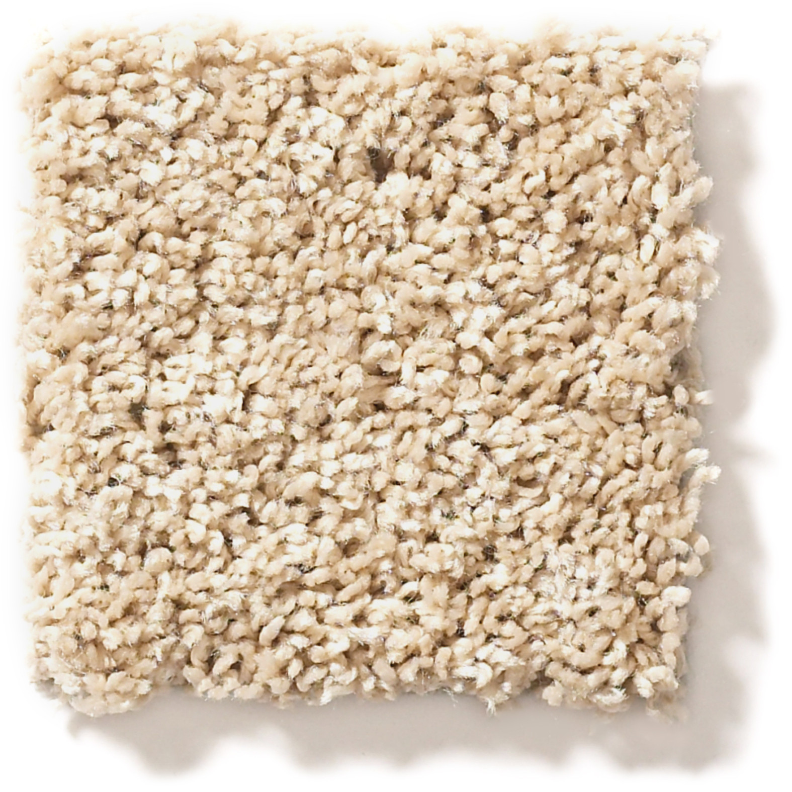 SHAKE IT UP (S) DESERT SAND SWATCH