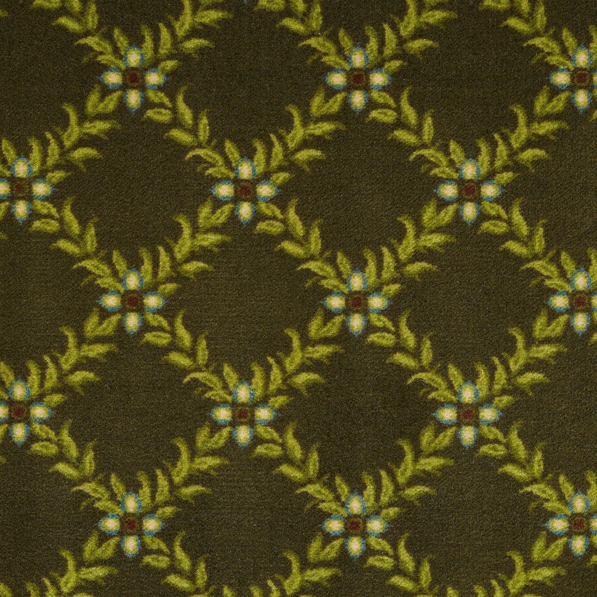 CANNONBORO — ARBOR GREEN