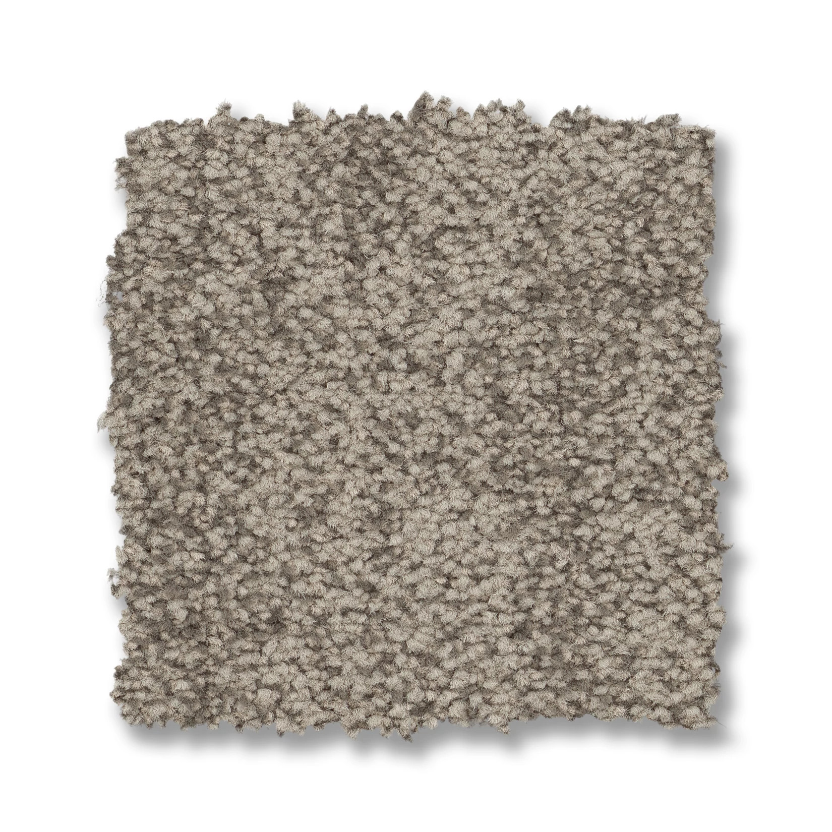 SILHOUETTE TAUPE HAZE SWATCH