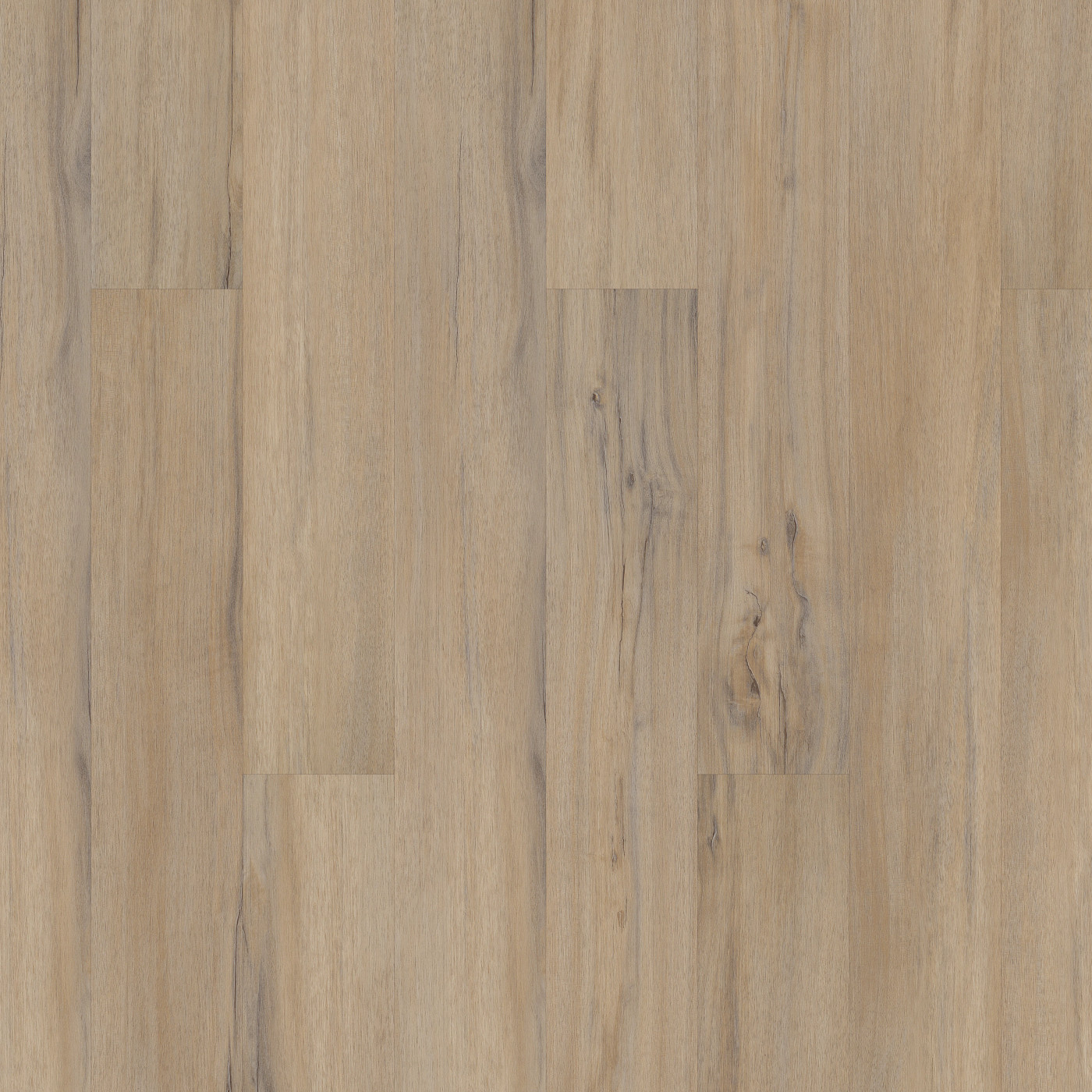 Dodwell Oak, the manufacturer's video