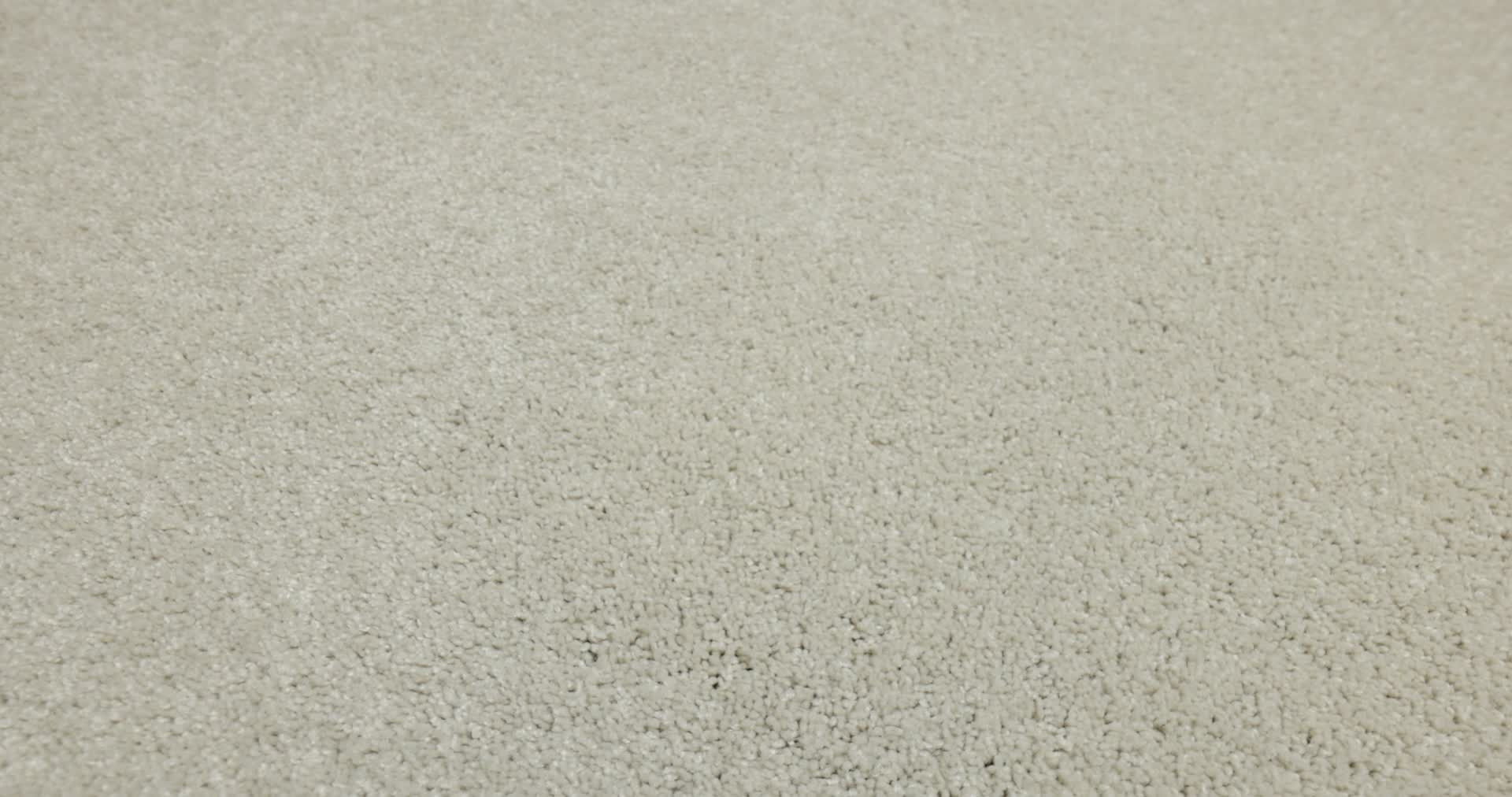 ENDLESS EVENING III POLAR 360PROD