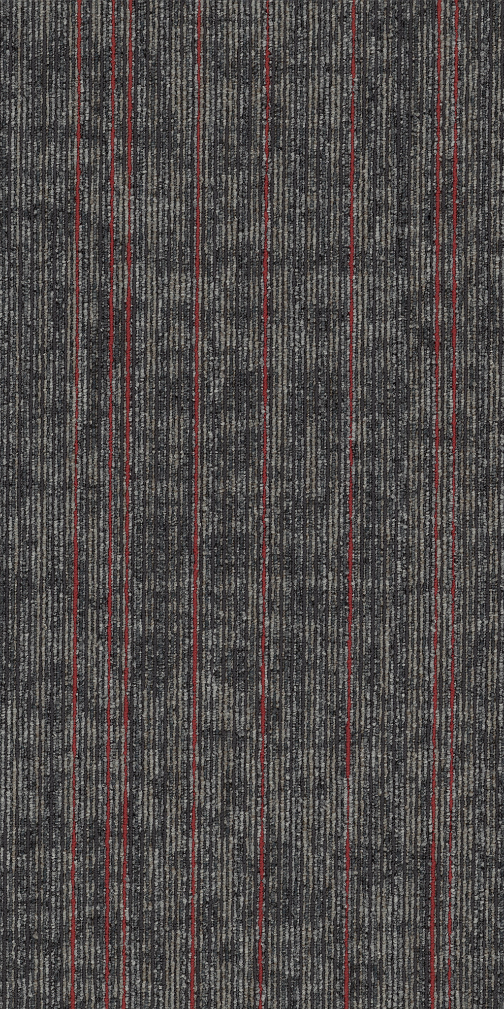 RISE-UP-54997-FORTITUDE-00508-main-image