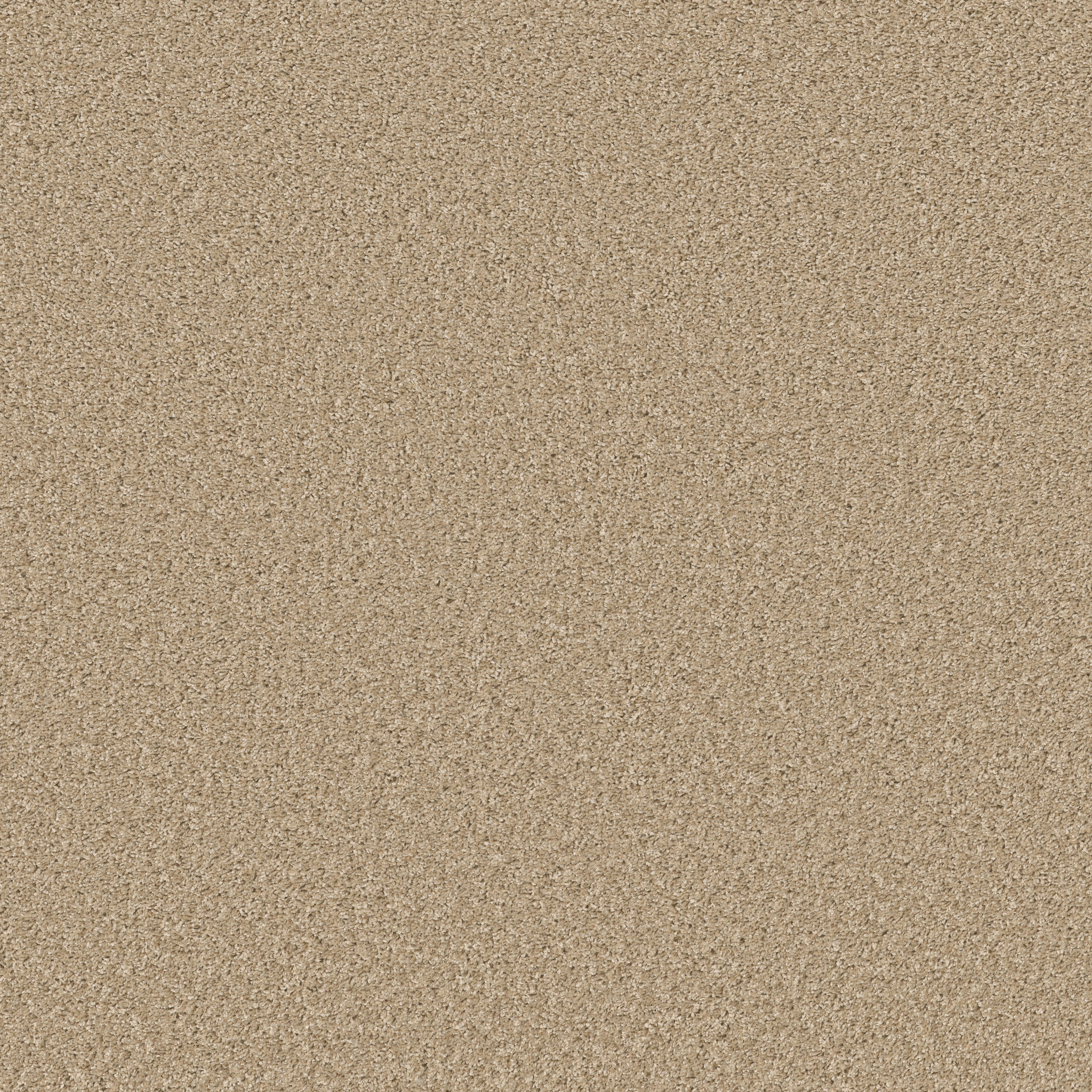 SHAKE IT UP (S) DESERT SAND MAIN